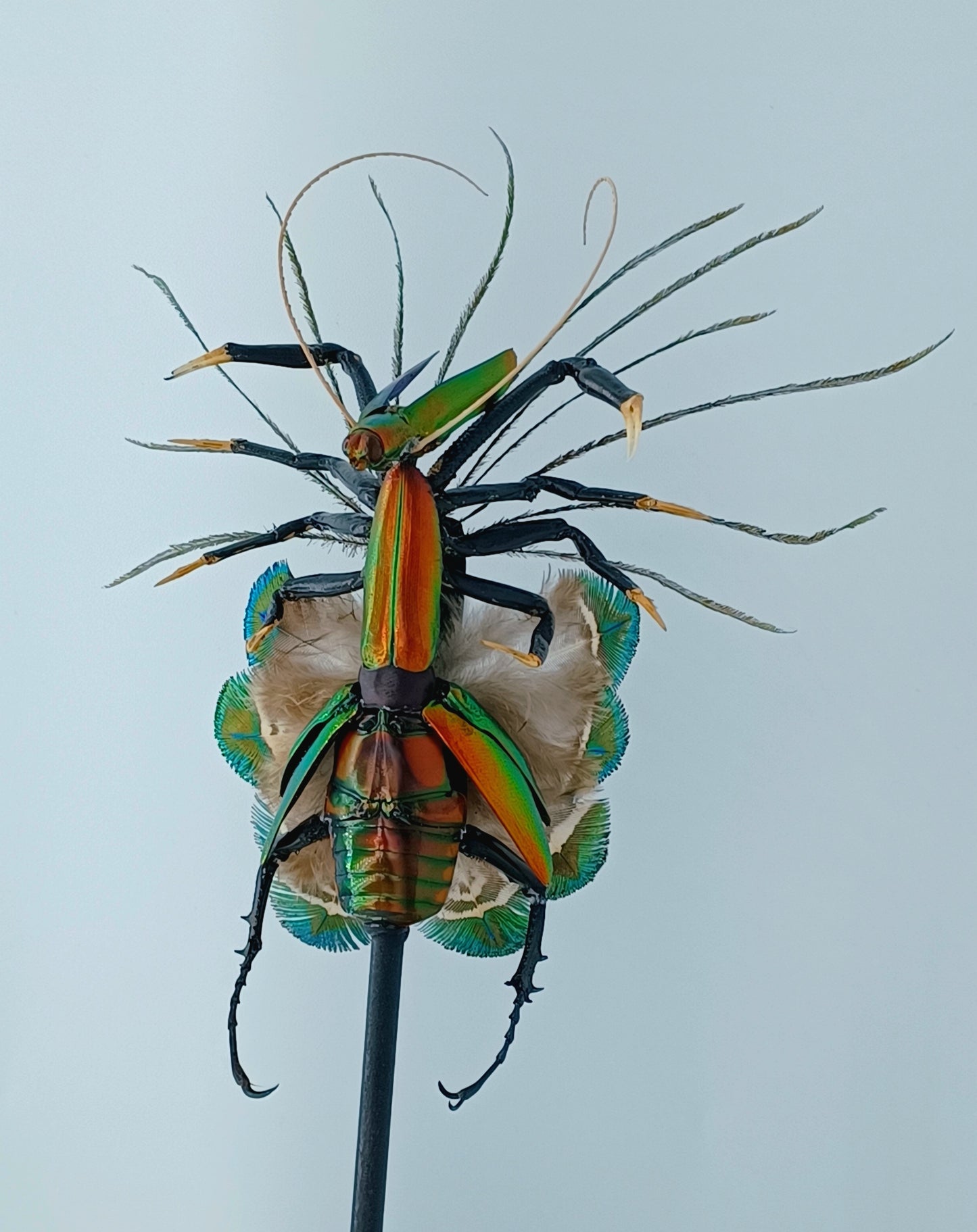 Mythix Fairy - Specimen #067
