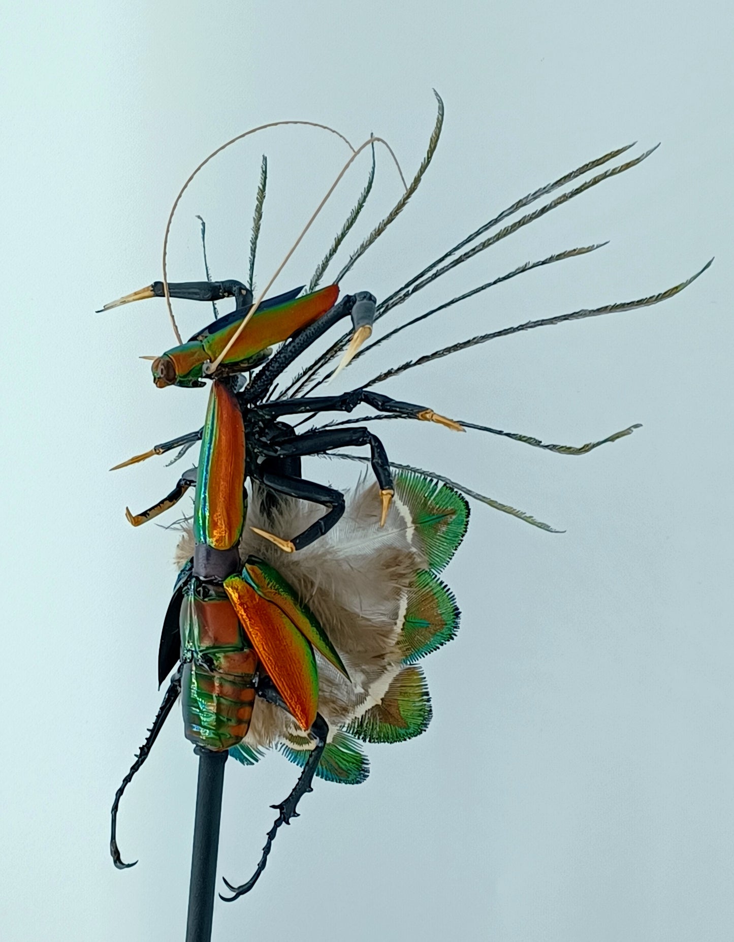 Mythix Fairy - Specimen #067