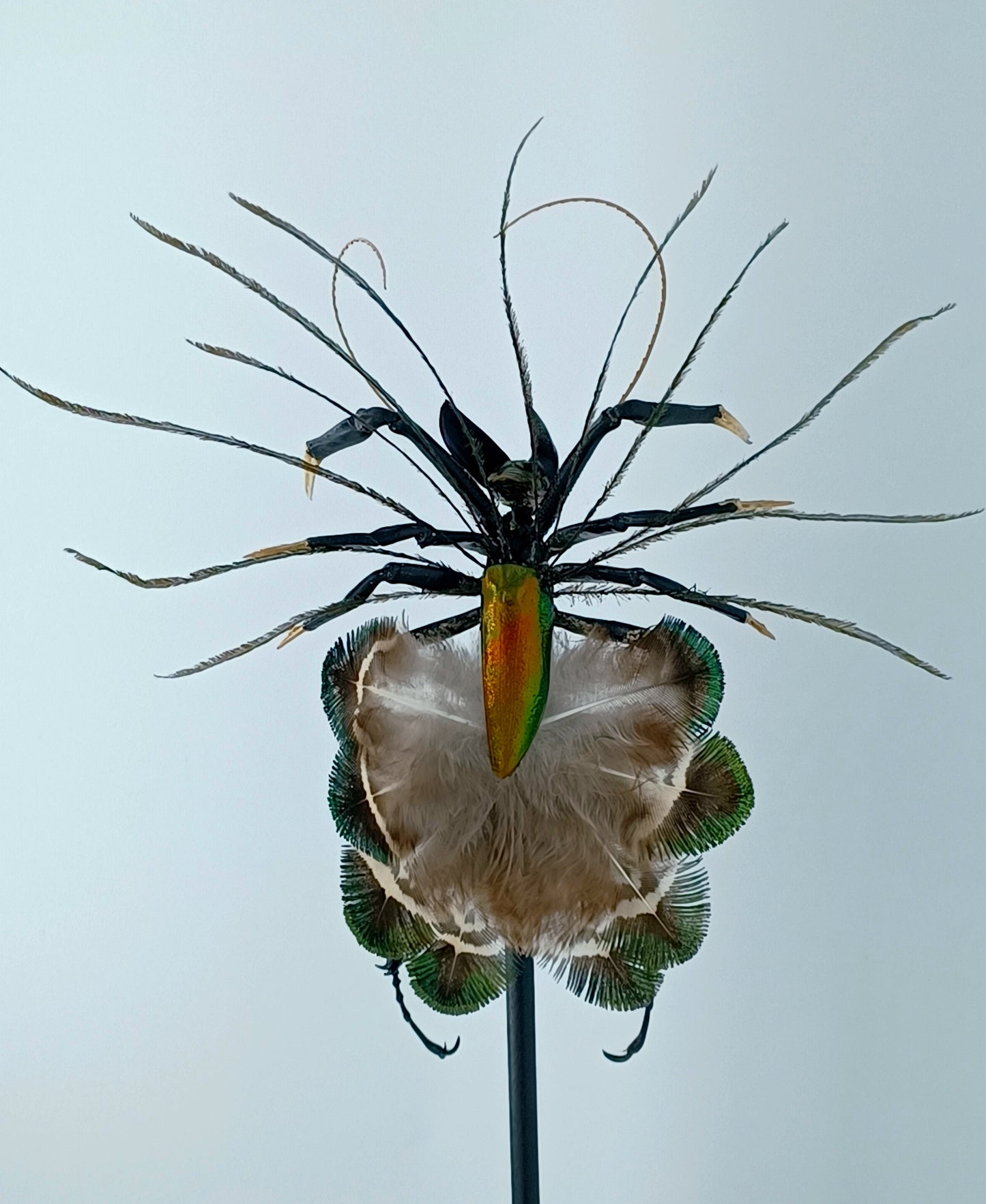 Mythix Fairy - Specimen #067