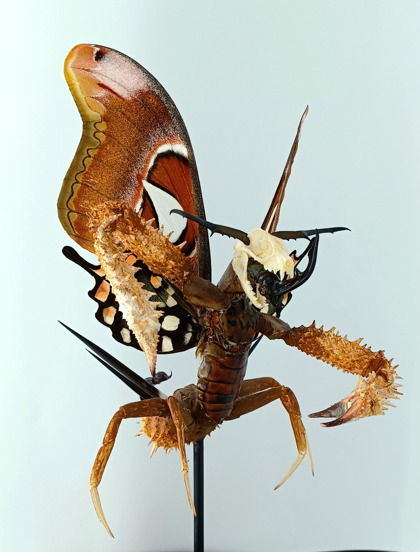 Mythix Darkling Sprite Soldier - Specimen #073