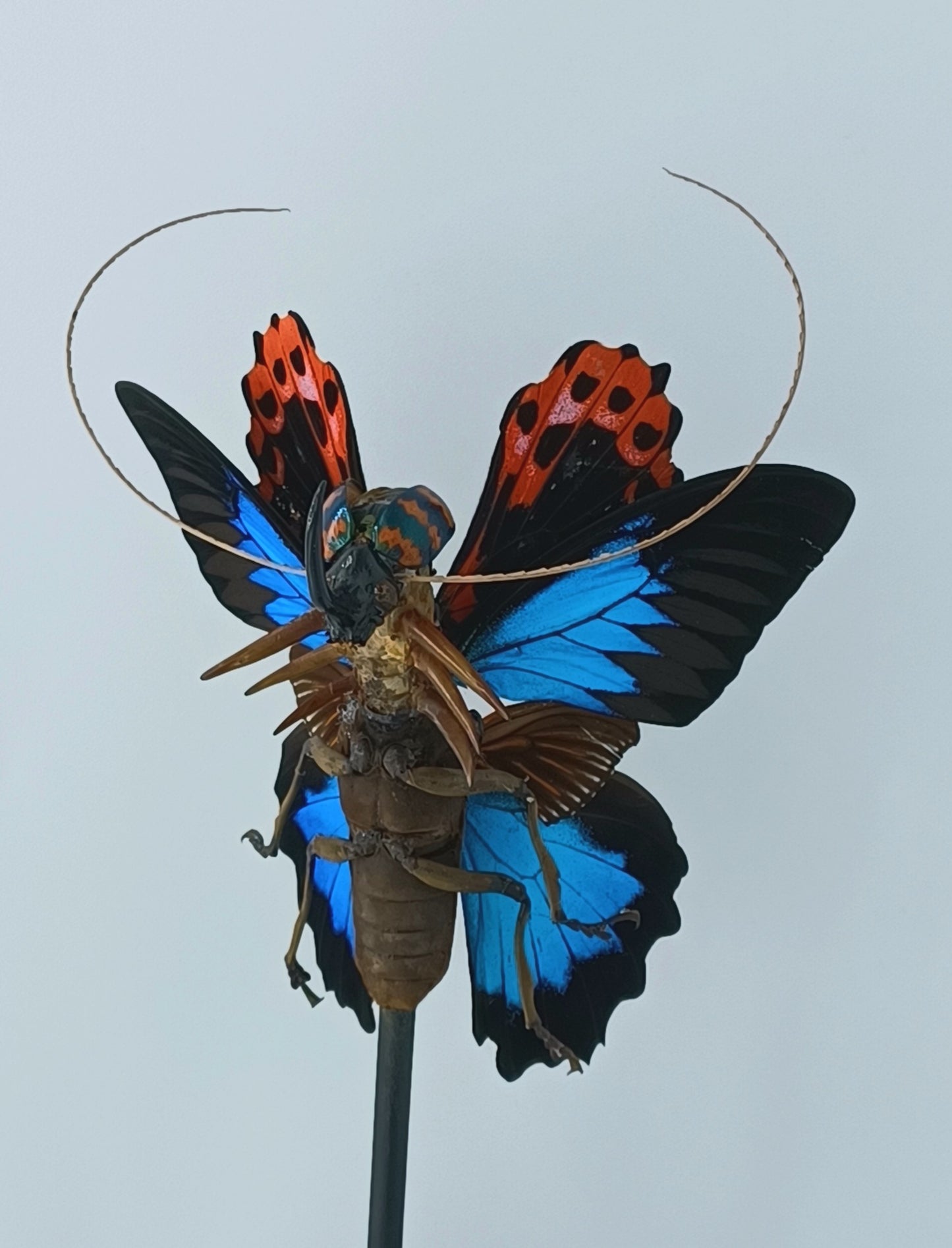 Mythix Fairy - #077