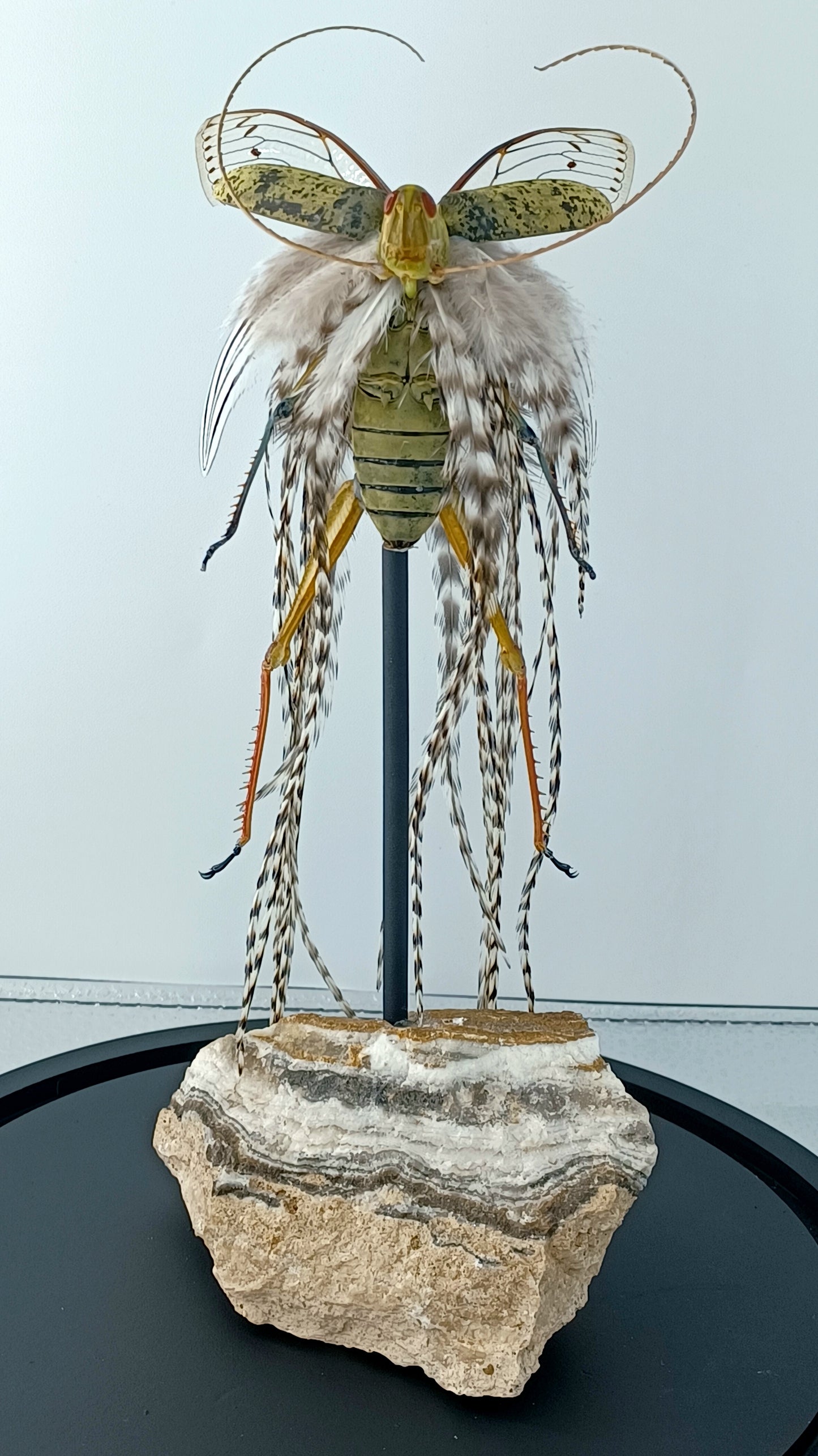 Mythix Fairy - Specimen #083