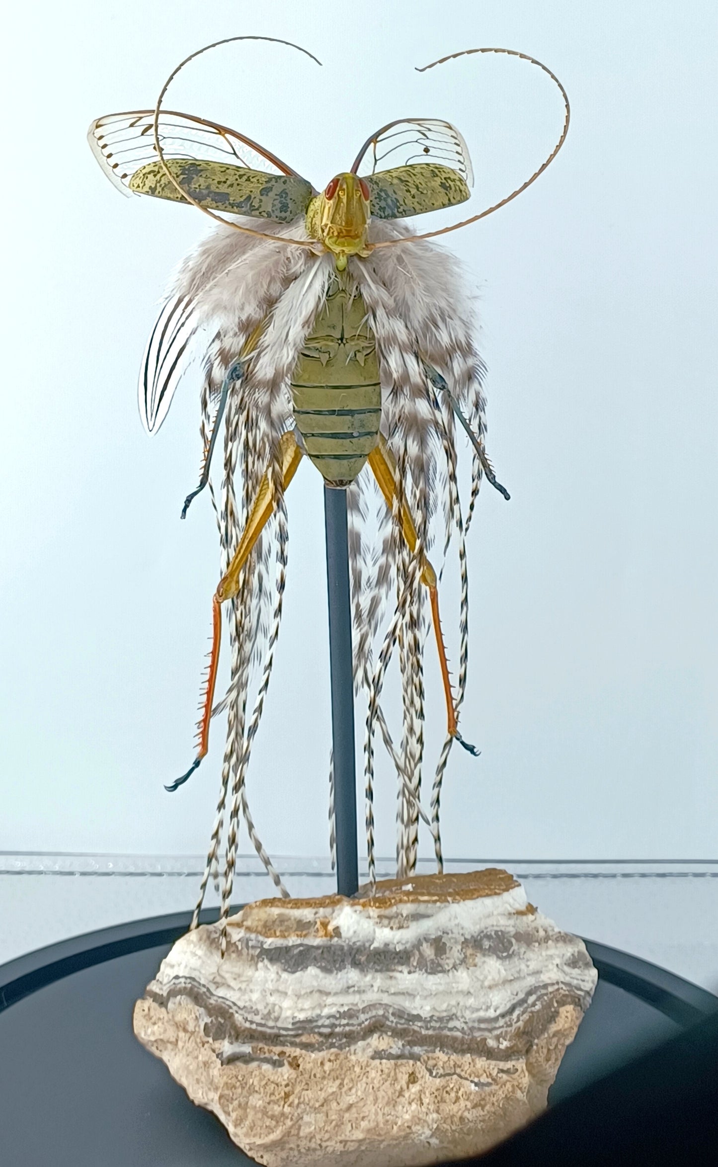 Mythix Fairy - Specimen #083