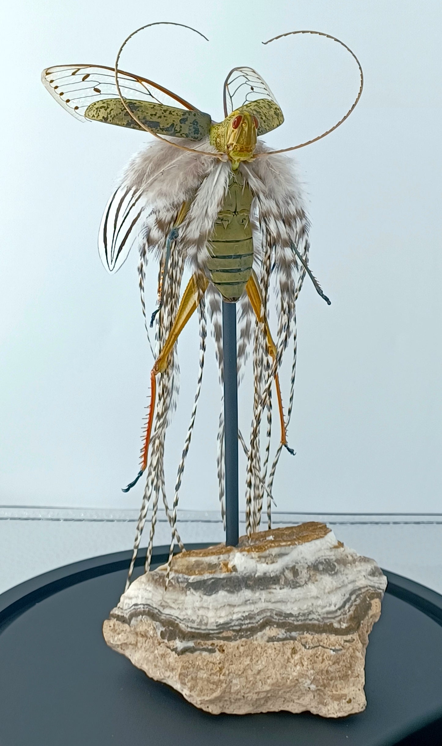 Mythix Fairy - Specimen #083
