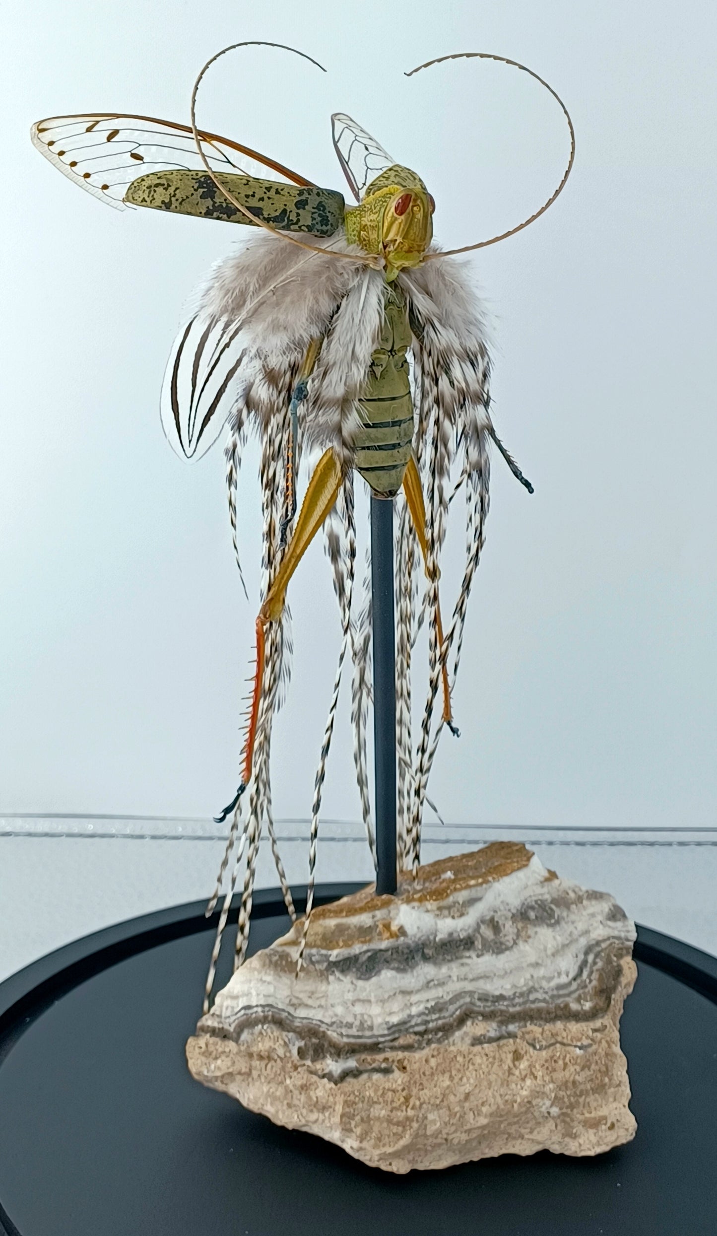 Mythix Fairy - Specimen #083
