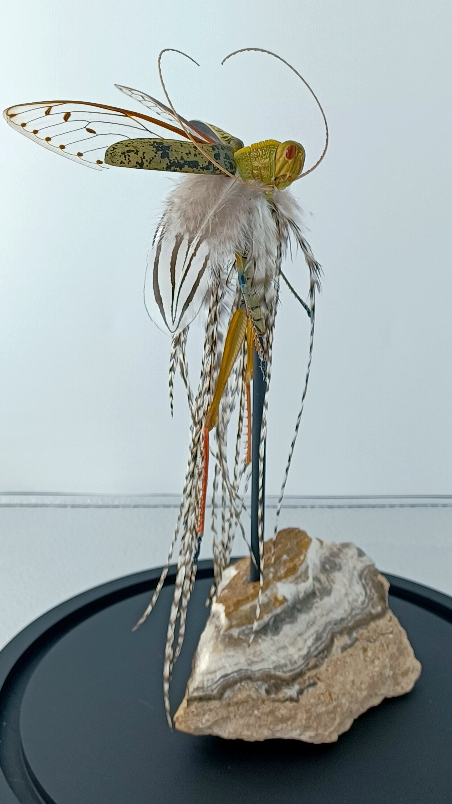 Mythix Fairy - Specimen #083