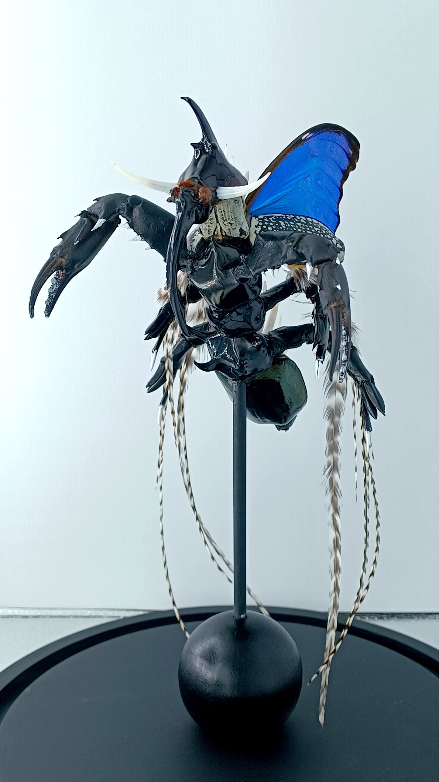 Mythix Darkling Sprite Soldier - Specimen #081