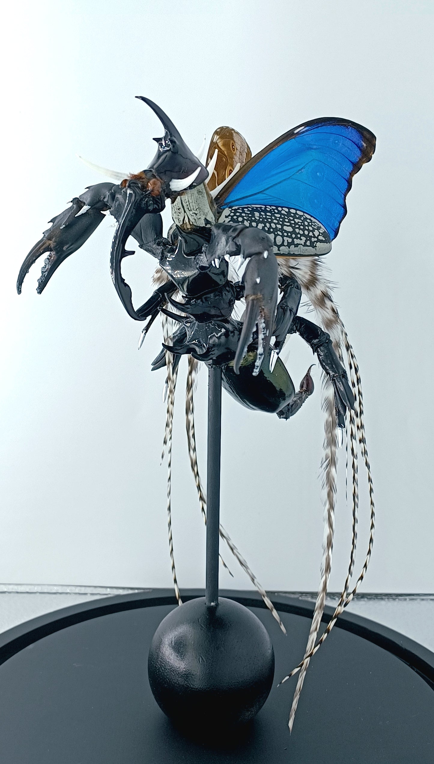 Mythix Darkling Sprite Soldier - Specimen #081