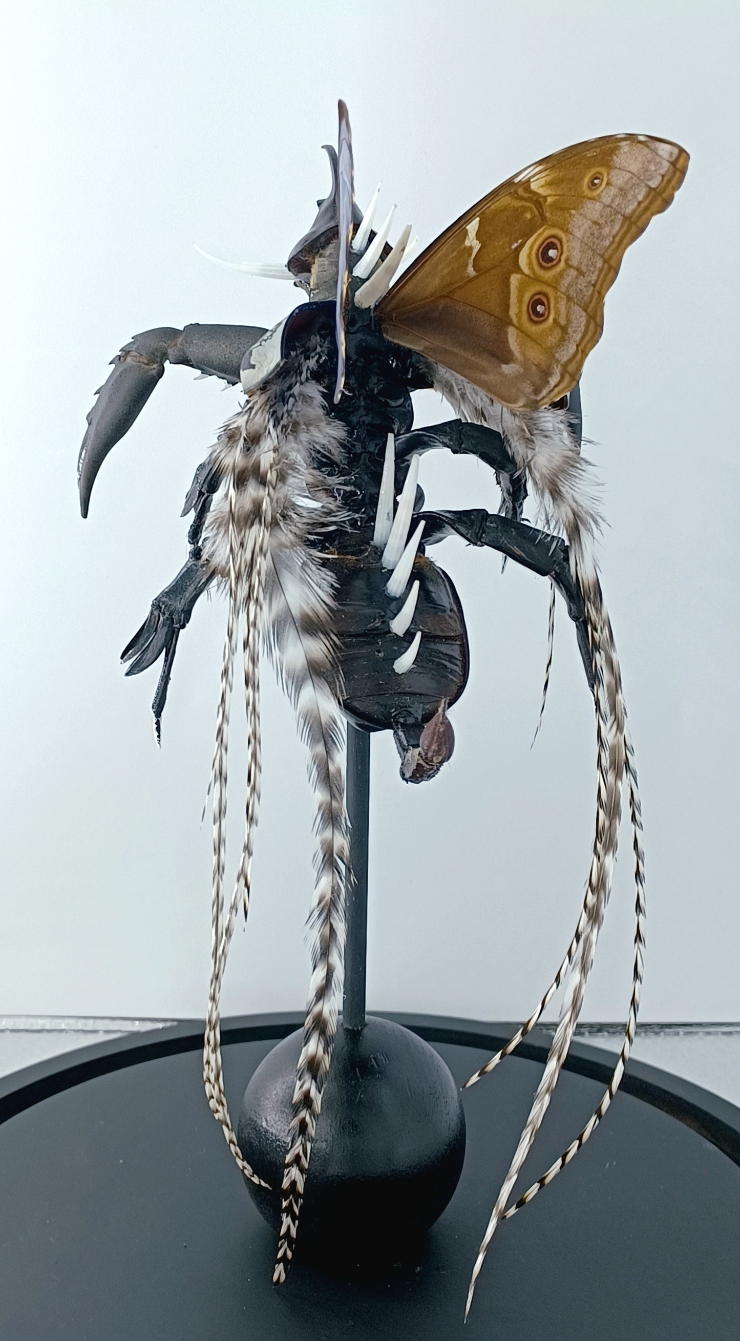 Mythix Darkling Sprite Soldier - Specimen #081