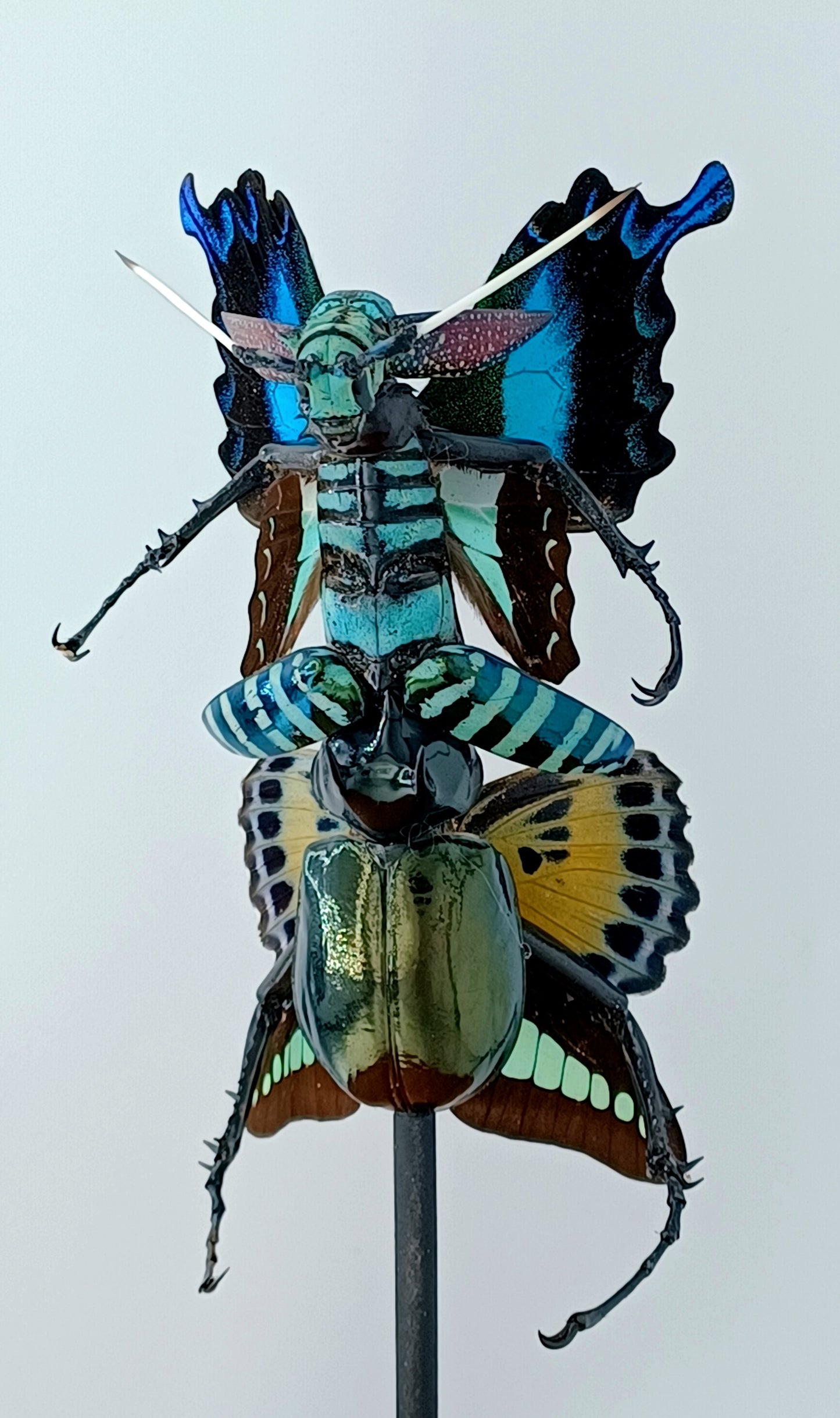 Mythix Fairy - Specimen #086