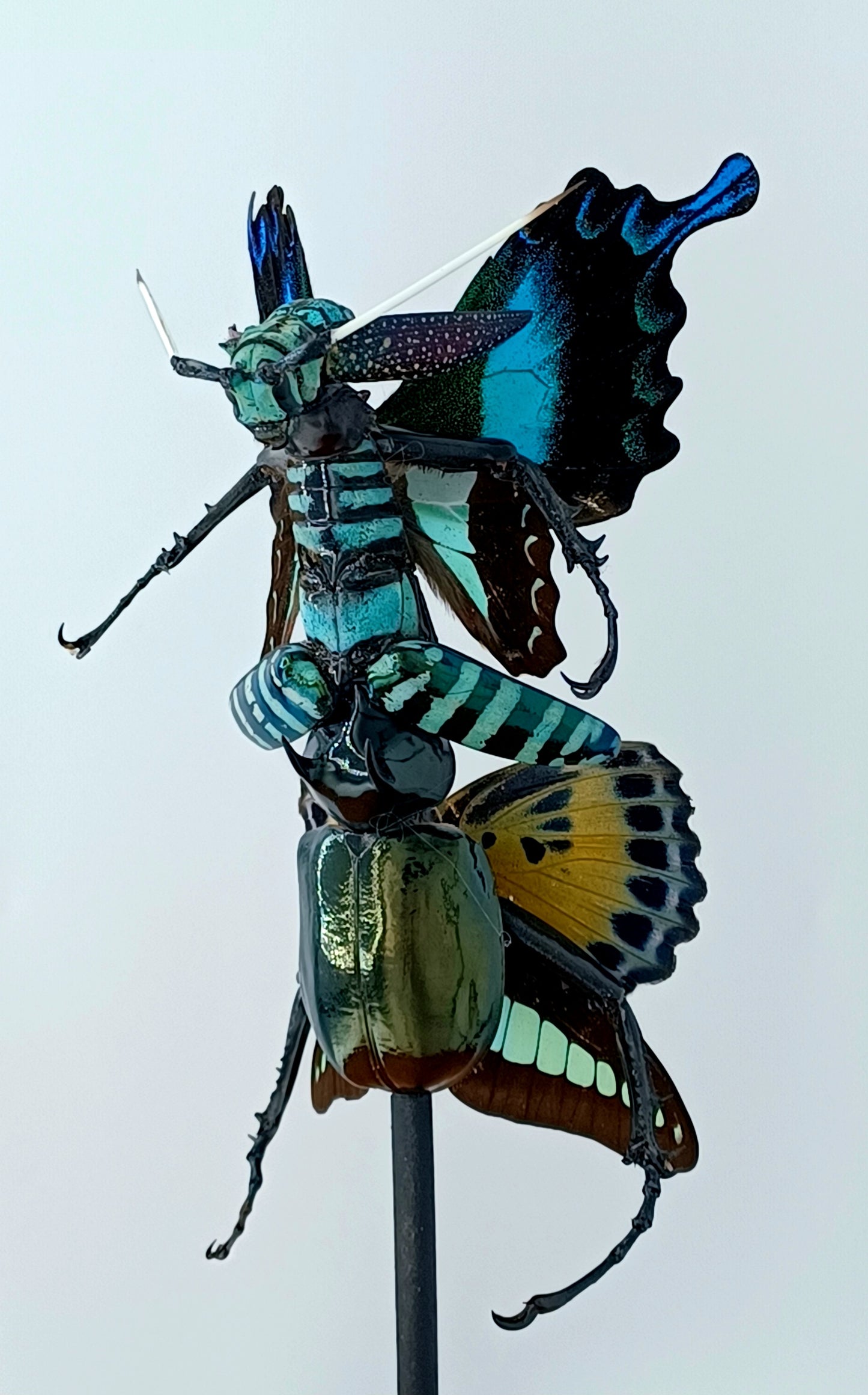 Mythix Fairy - Specimen #086