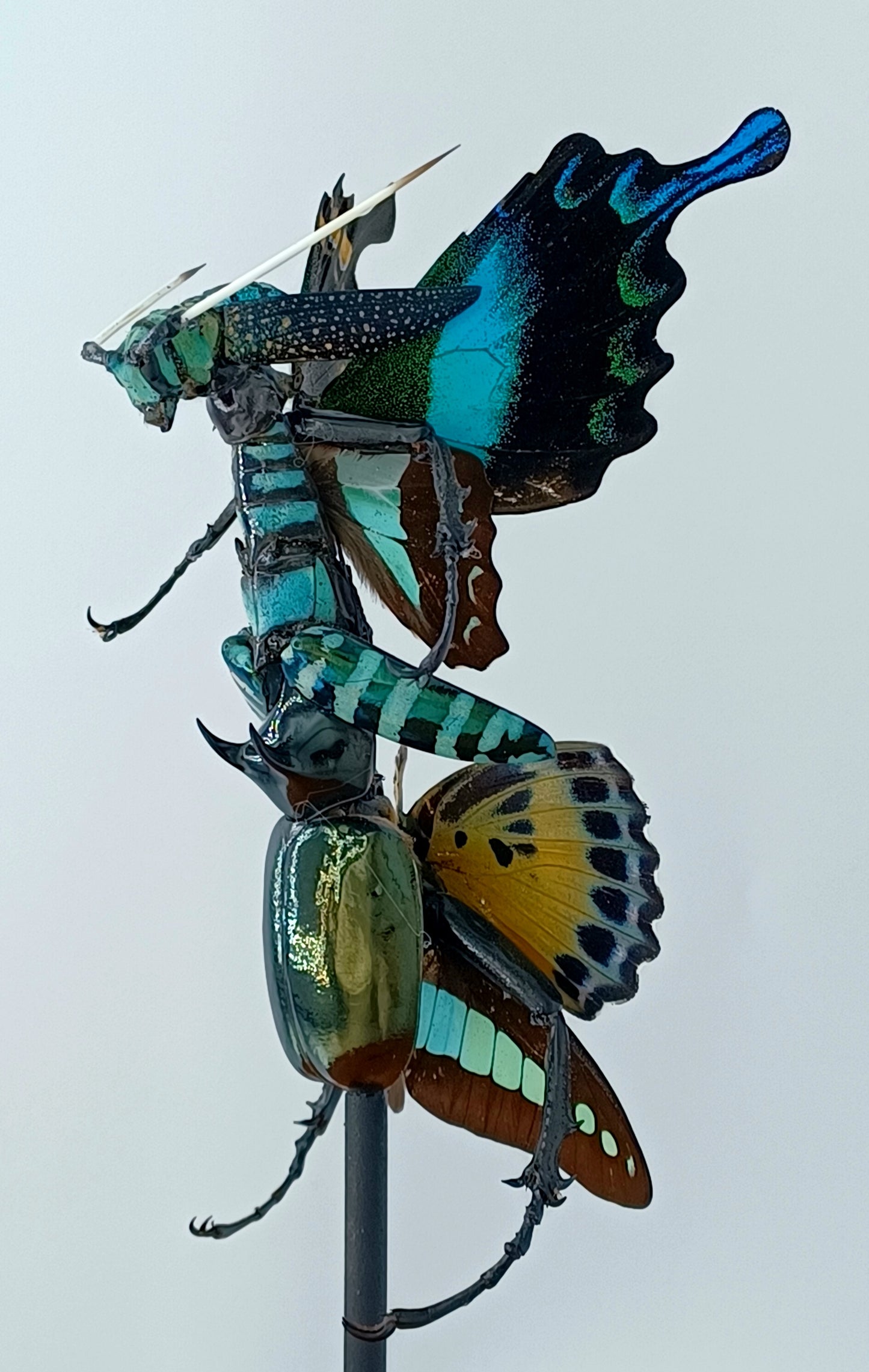 Mythix Fairy - Specimen #086