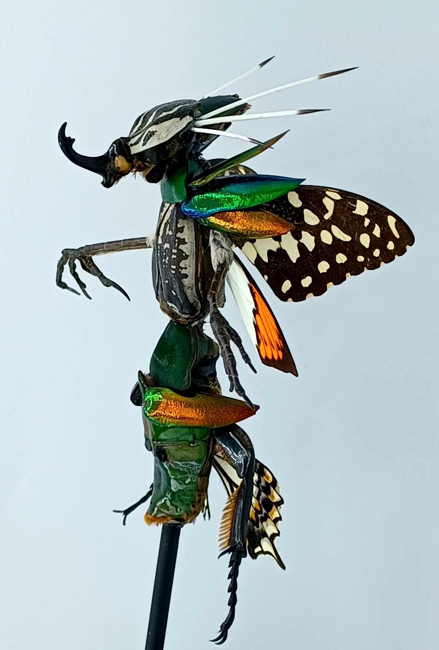 Mythix Fairy Scout - Specimen #087
