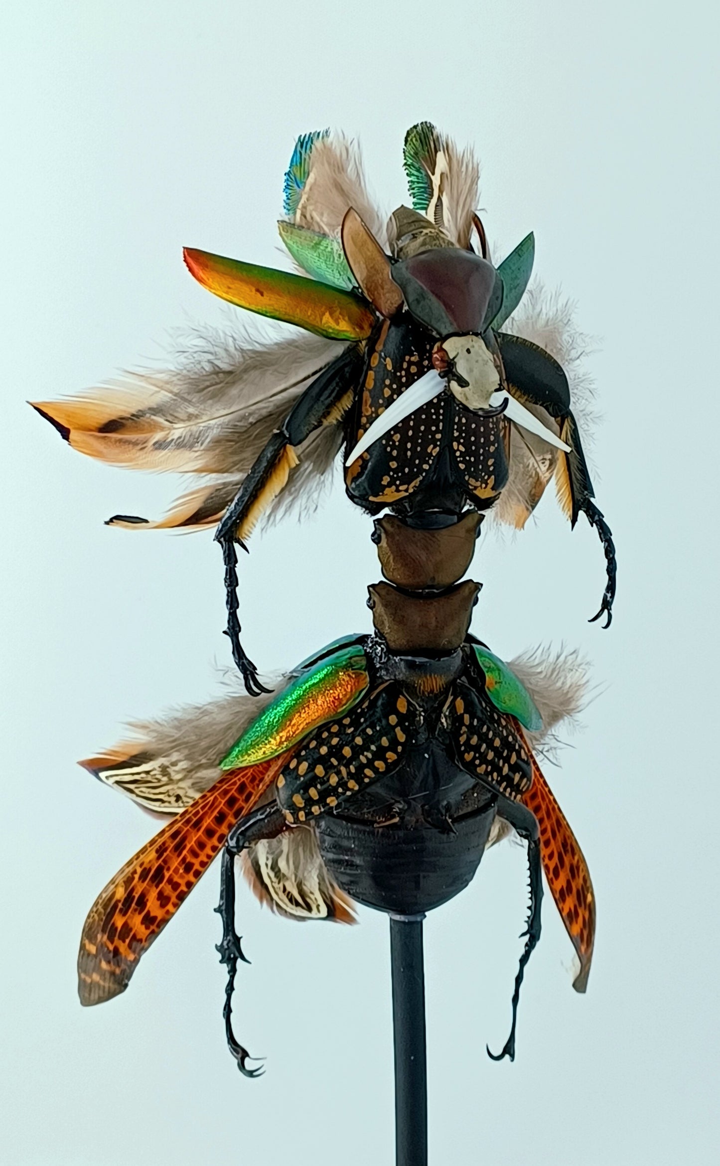 Mythix Fairy Scout - Specimen #095