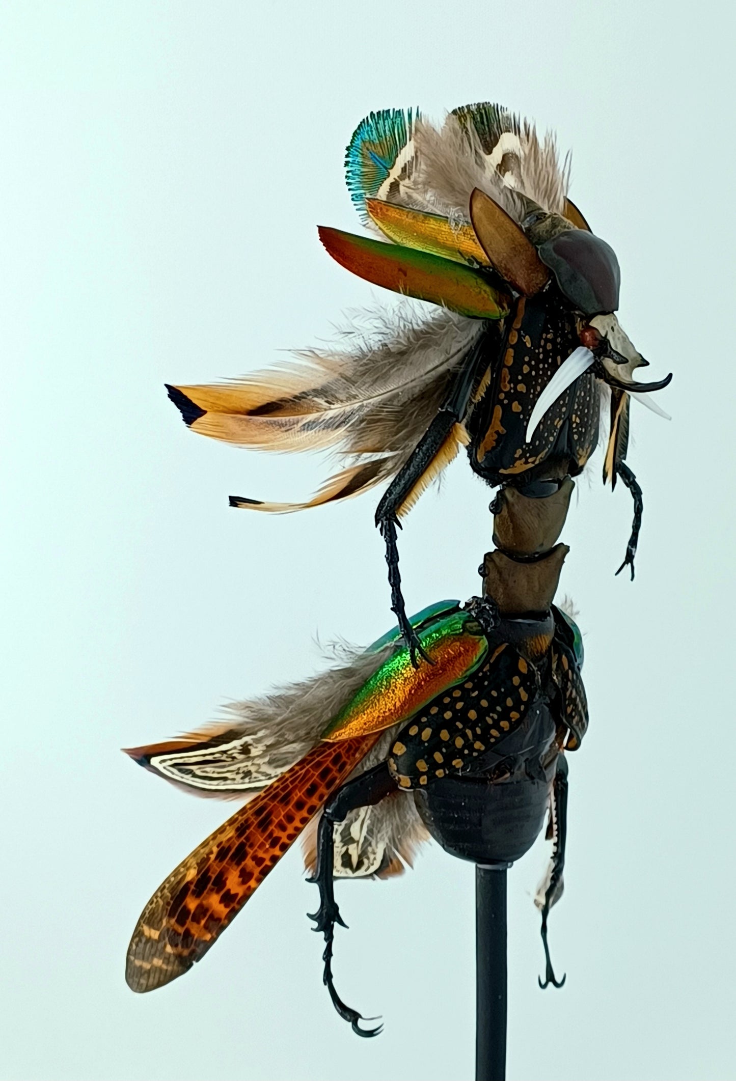 Mythix Fairy Scout - Specimen #095