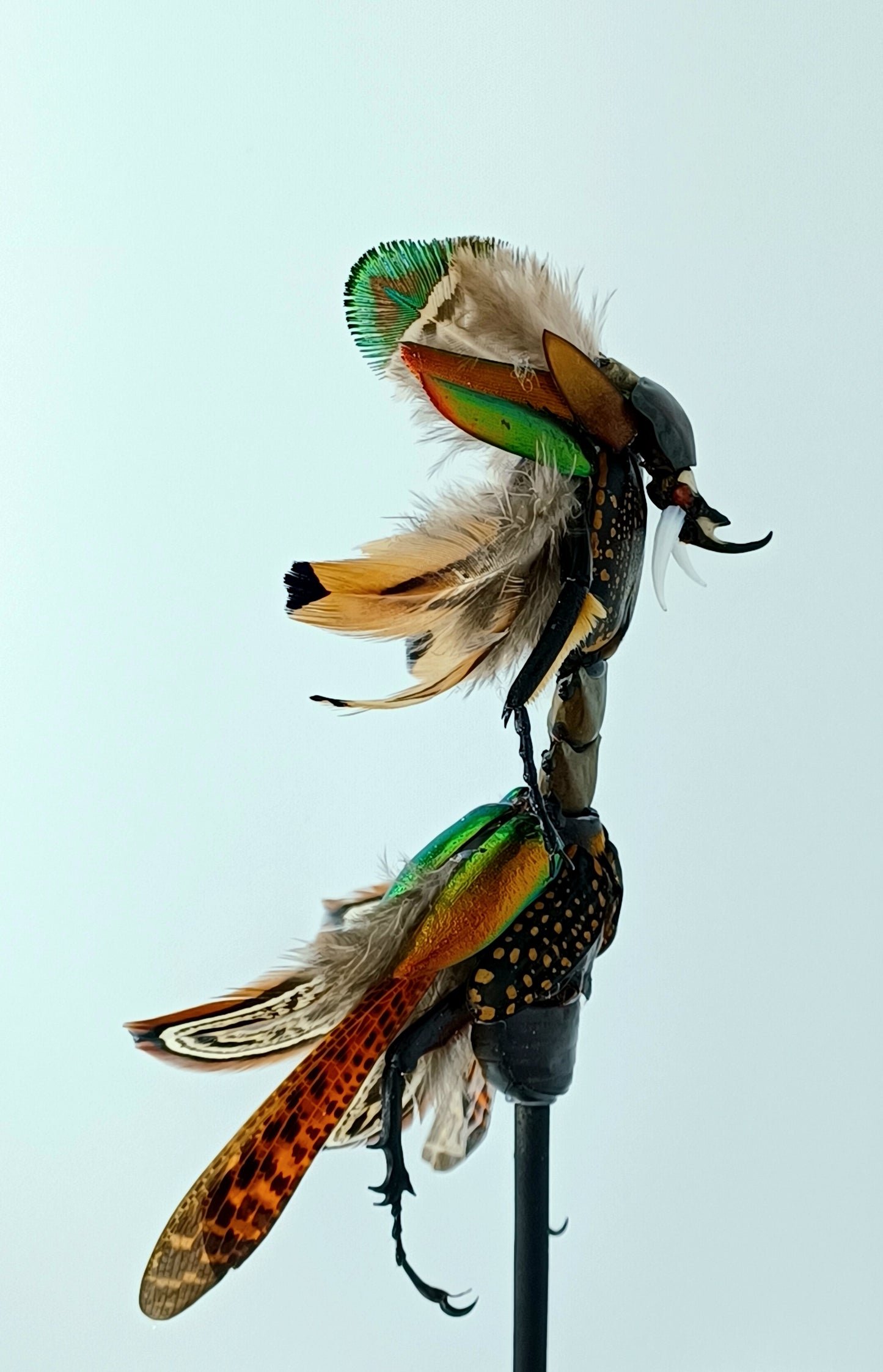 Mythix Fairy Scout - Specimen #095