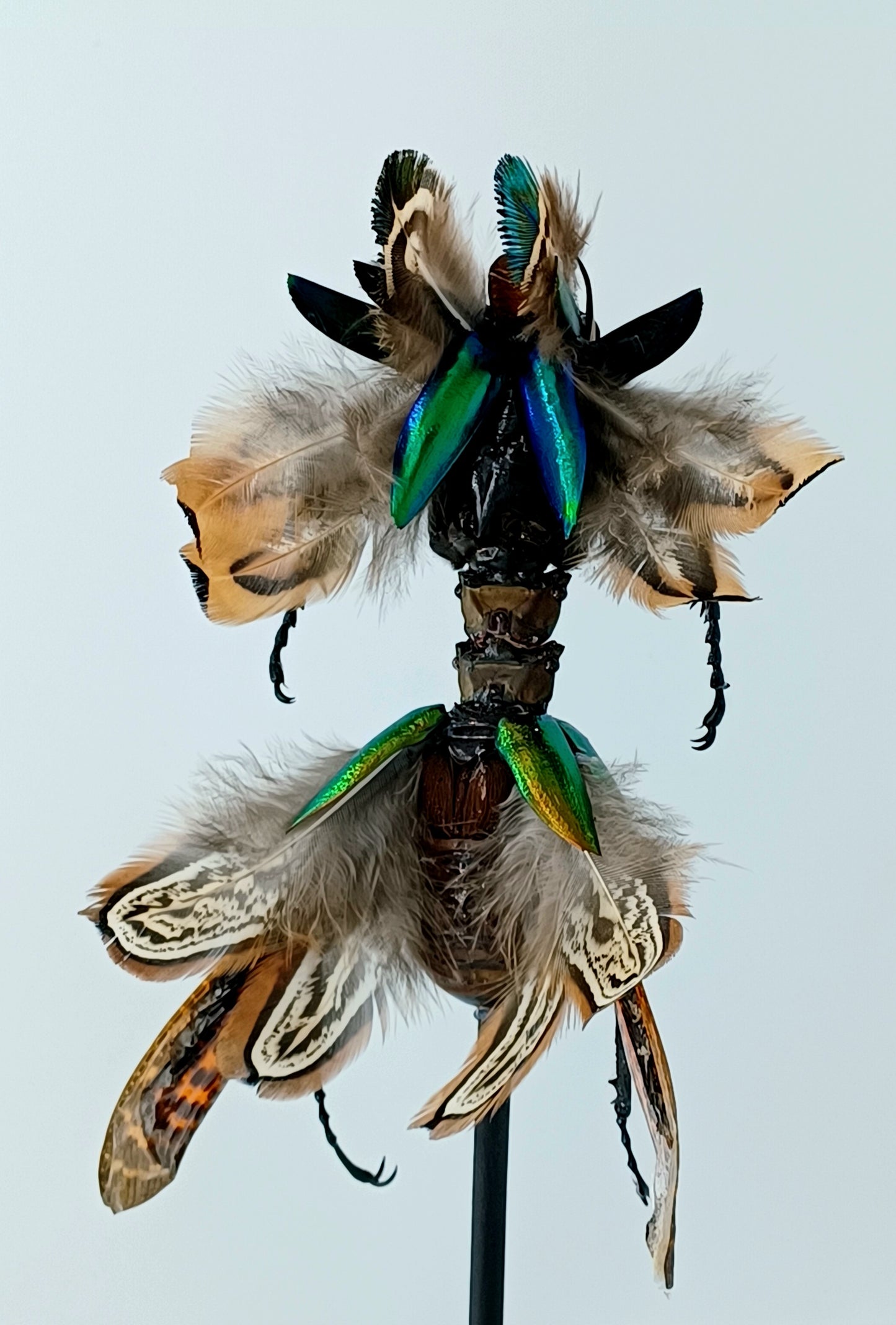 Mythix Fairy Scout - Specimen #095