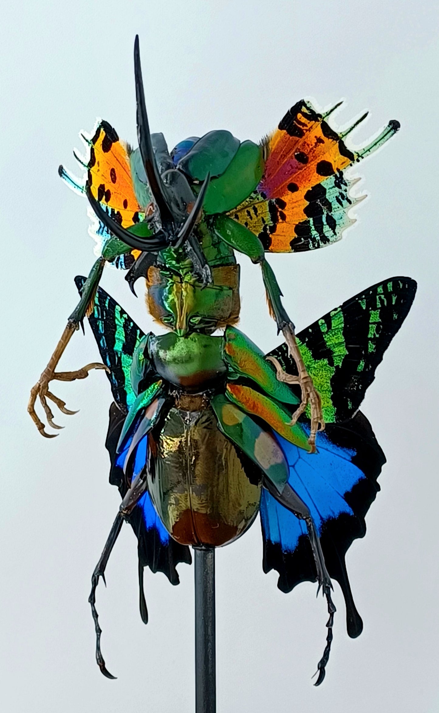 Mythix Fairy Scout - Specimen #096