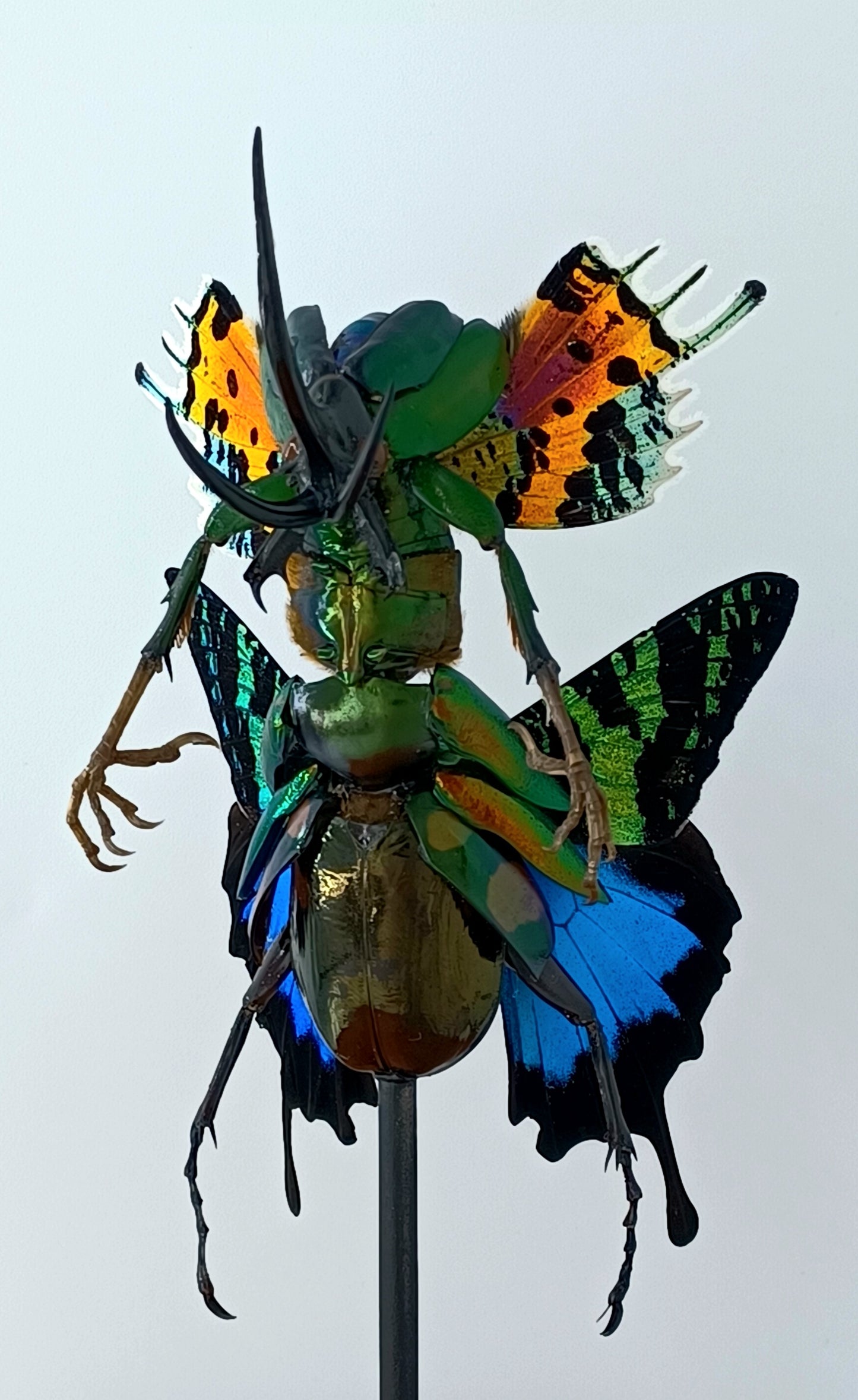 Mythix Fairy Scout - Specimen #096