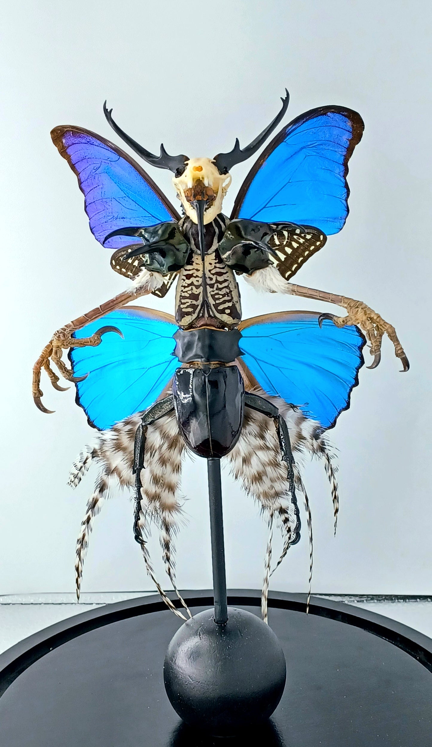 Mythix Darkling Sprite Soldier - Specimen #100