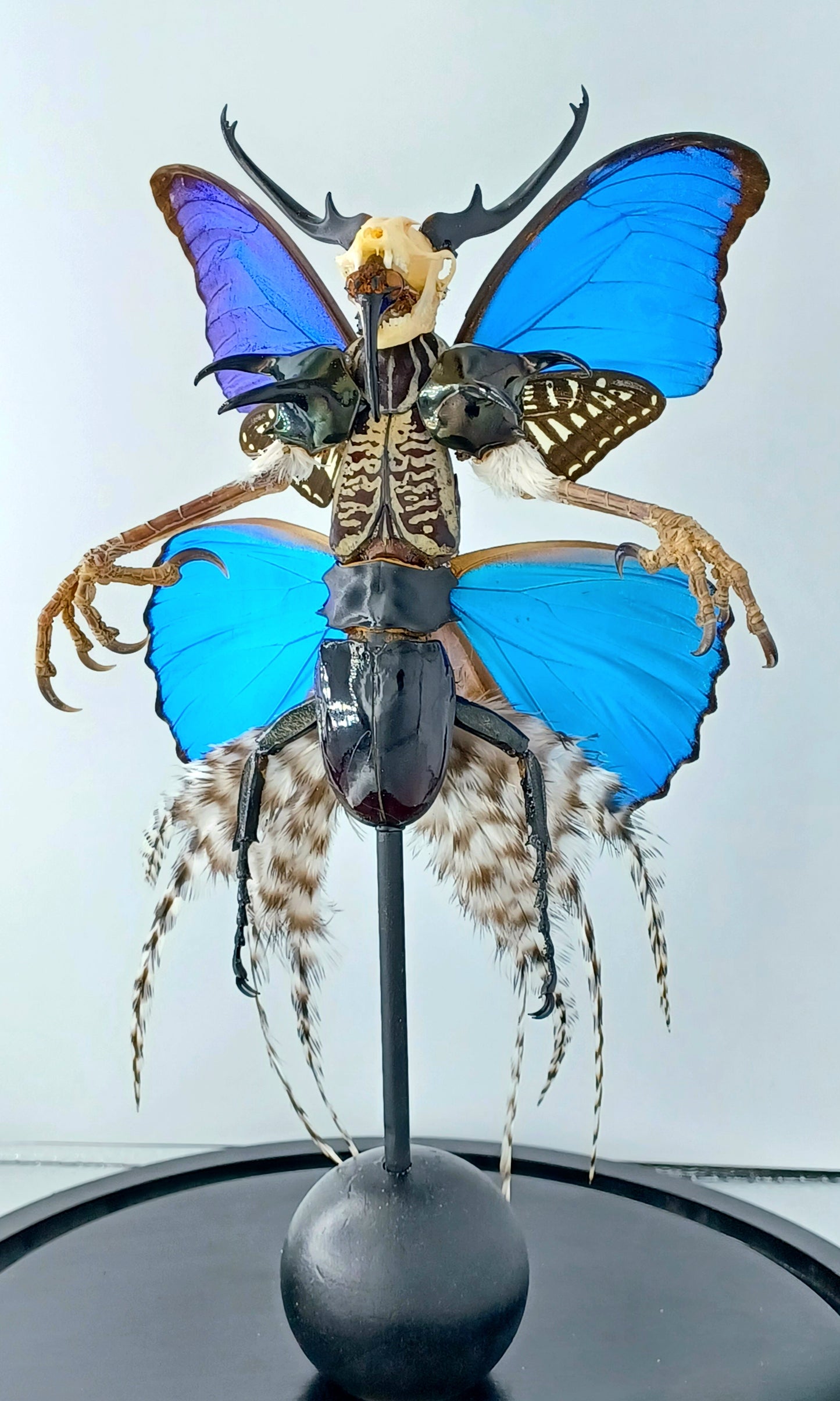 Mythix Darkling Sprite Soldier - Specimen #100