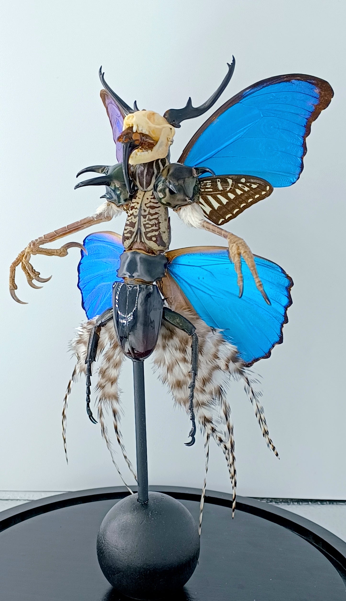 Mythix Darkling Sprite Soldier - Specimen #100