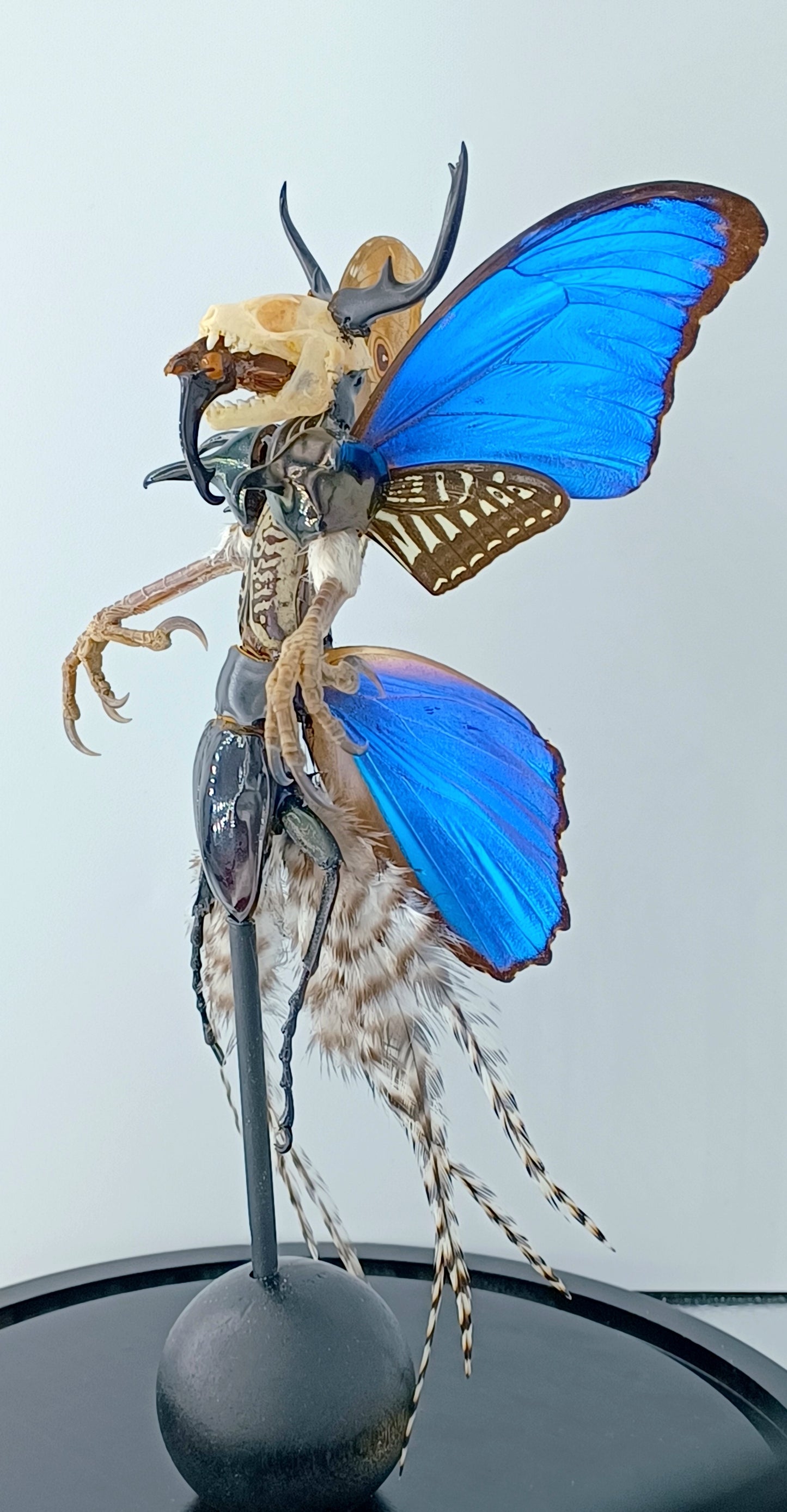 Mythix Darkling Sprite Soldier - Specimen #100