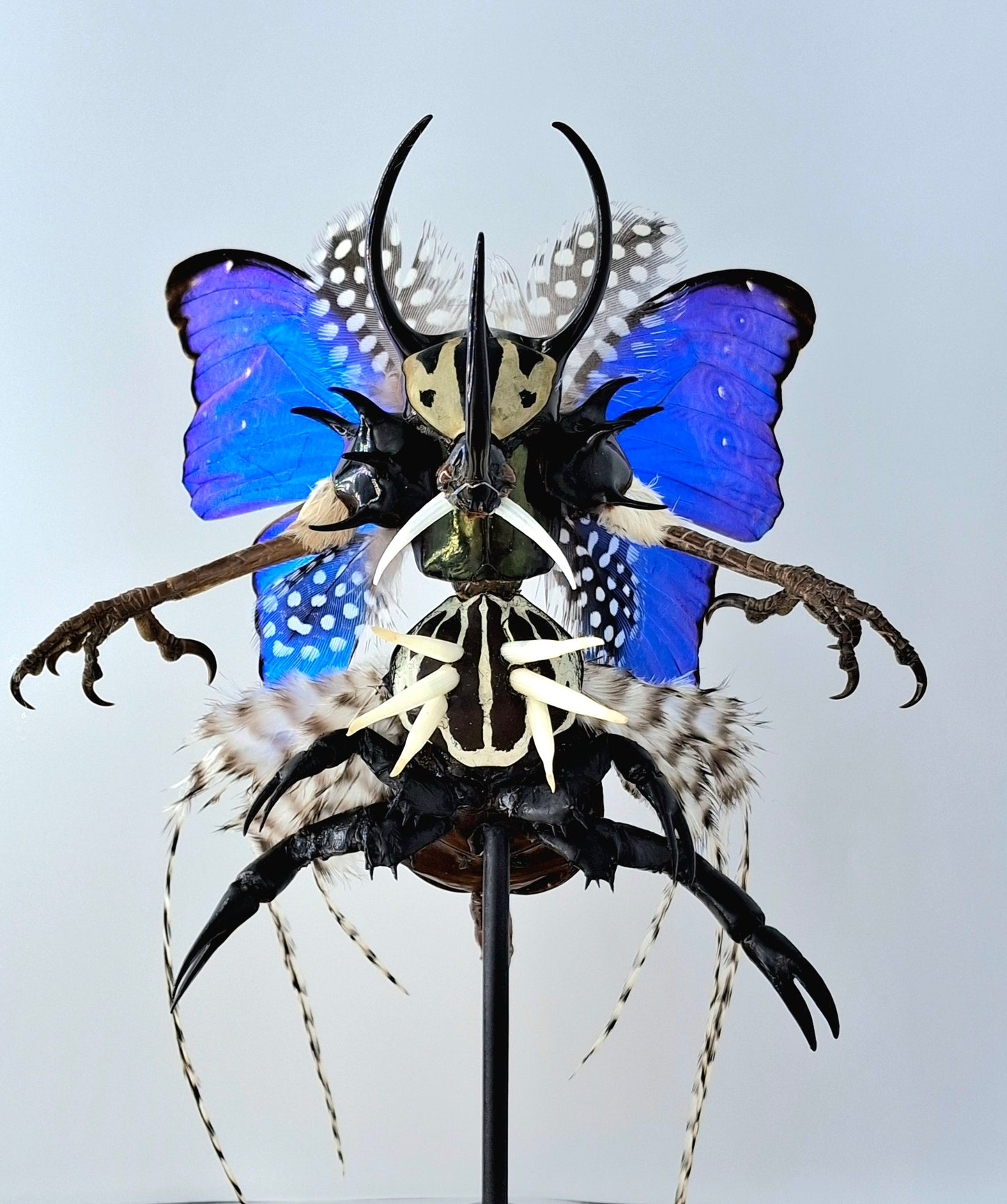 Mythix Darkling Sprite Soldier - Specimen #101