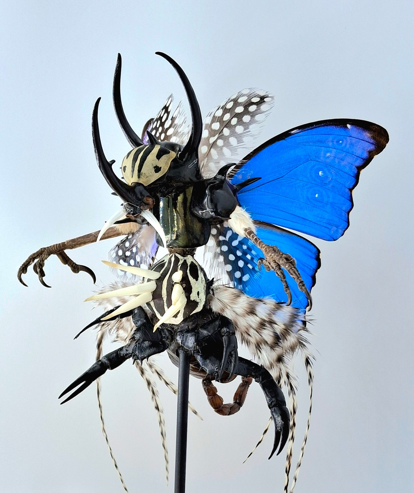 Mythix Darkling Sprite Soldier - Specimen #101