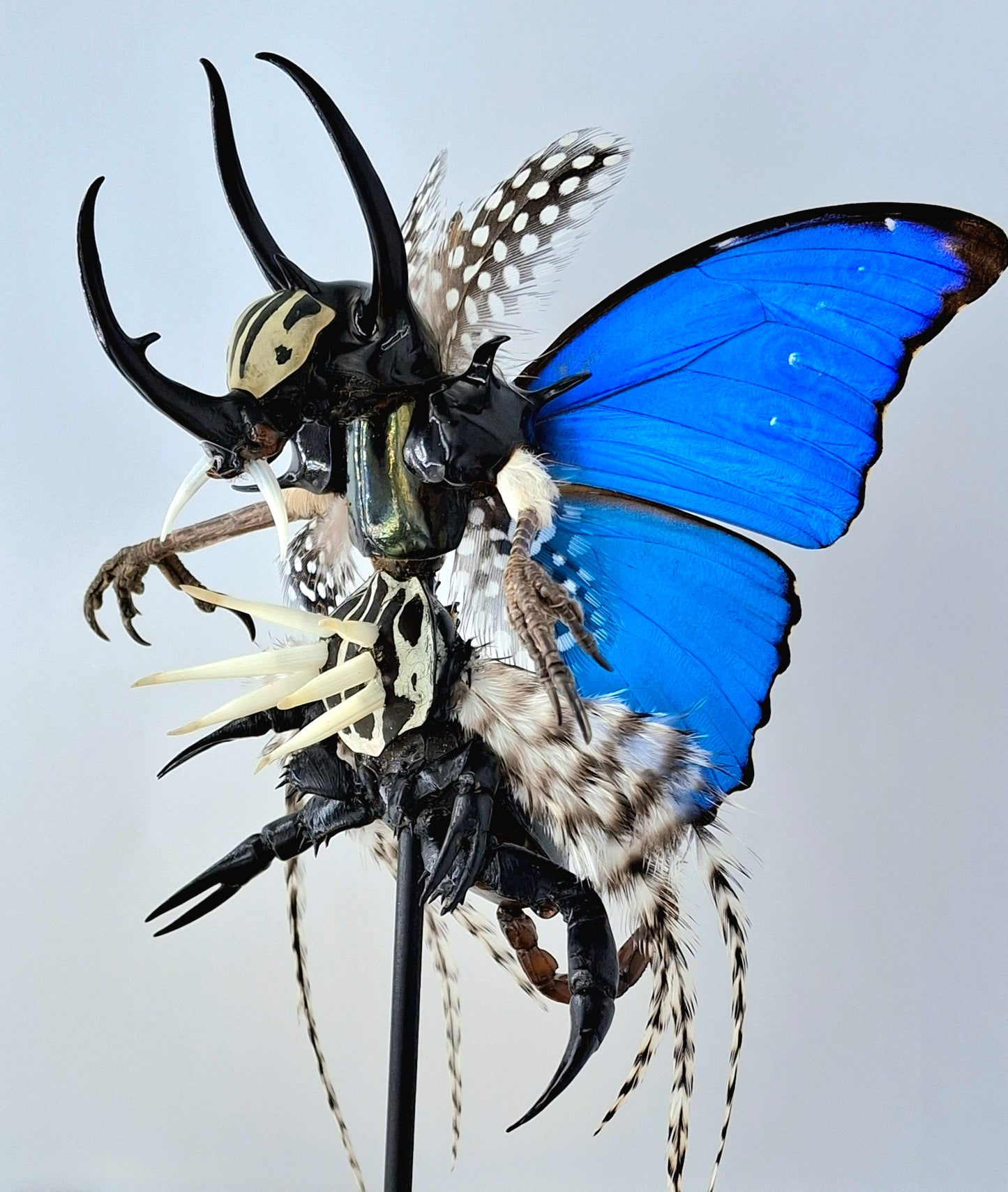 Mythix Darkling Sprite Soldier - Specimen #101