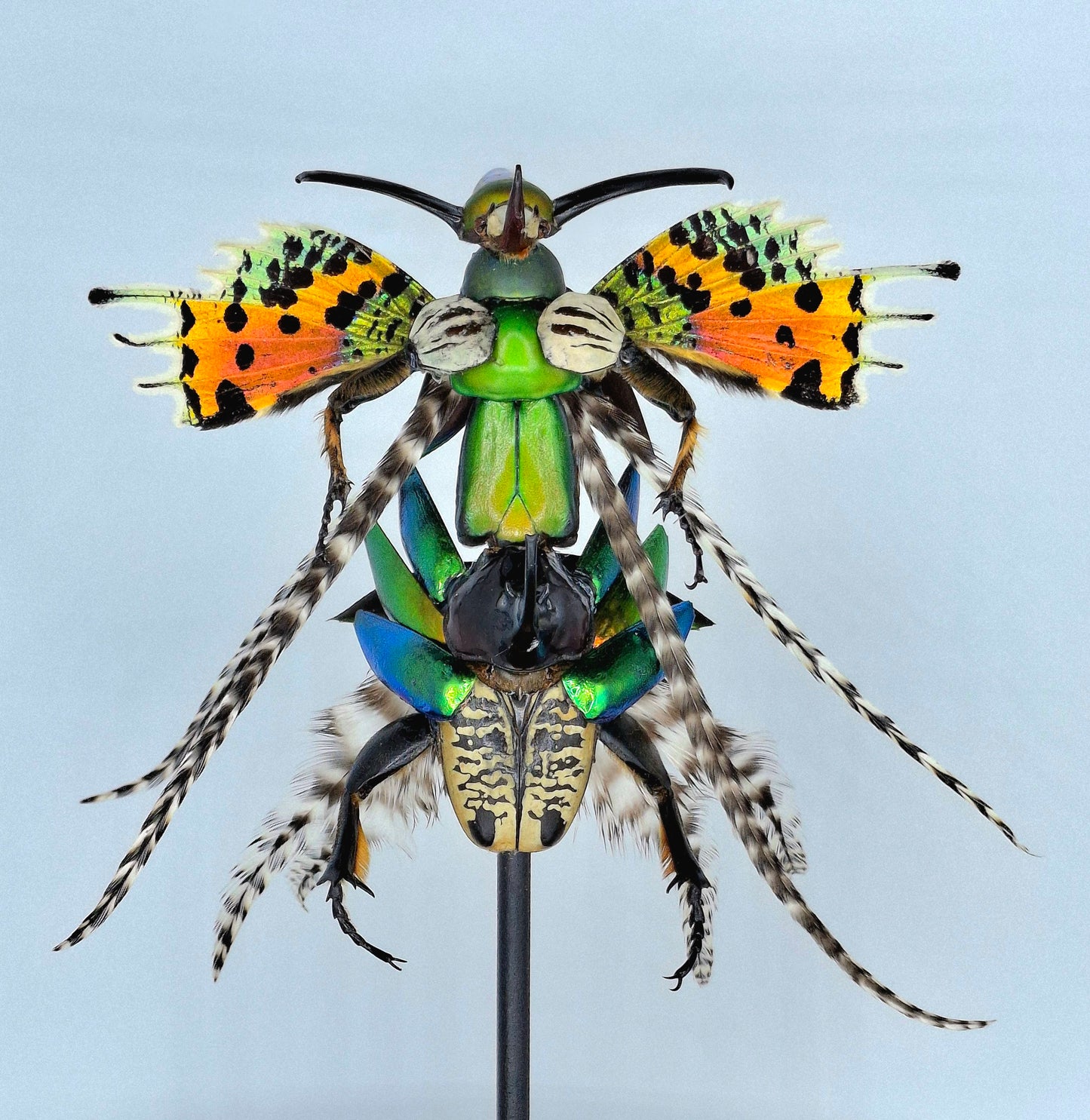 Mythix Fairy Scout - Specimen #106