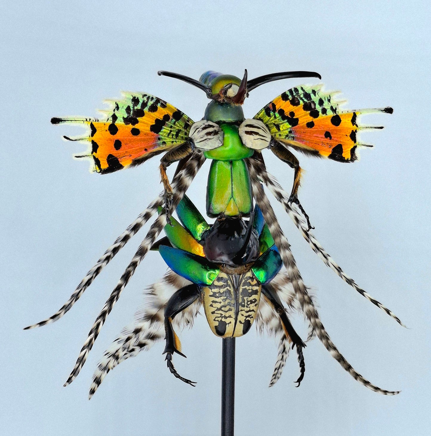 Mythix Fairy Scout - Specimen #106