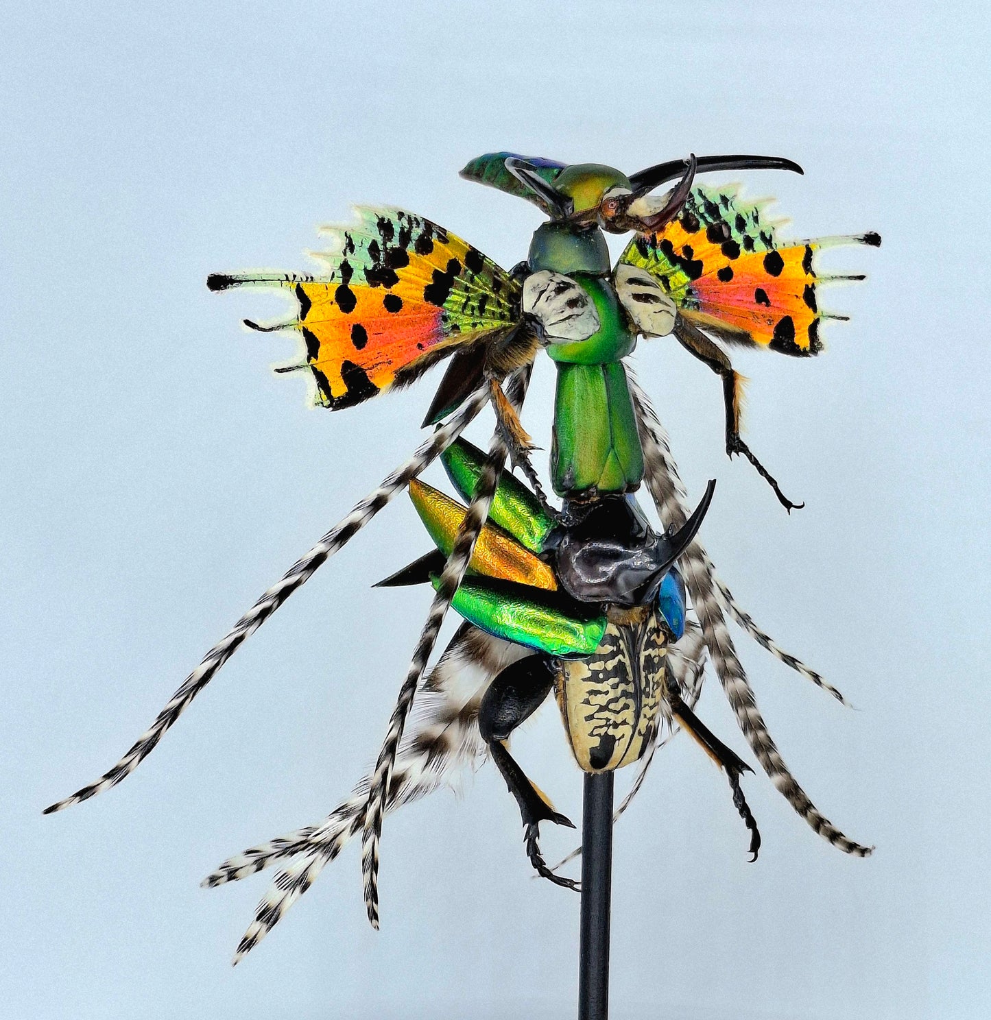 Mythix Fairy Scout - Specimen #106