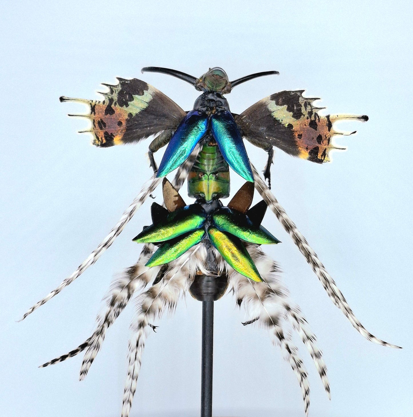 Mythix Fairy Scout - Specimen #106