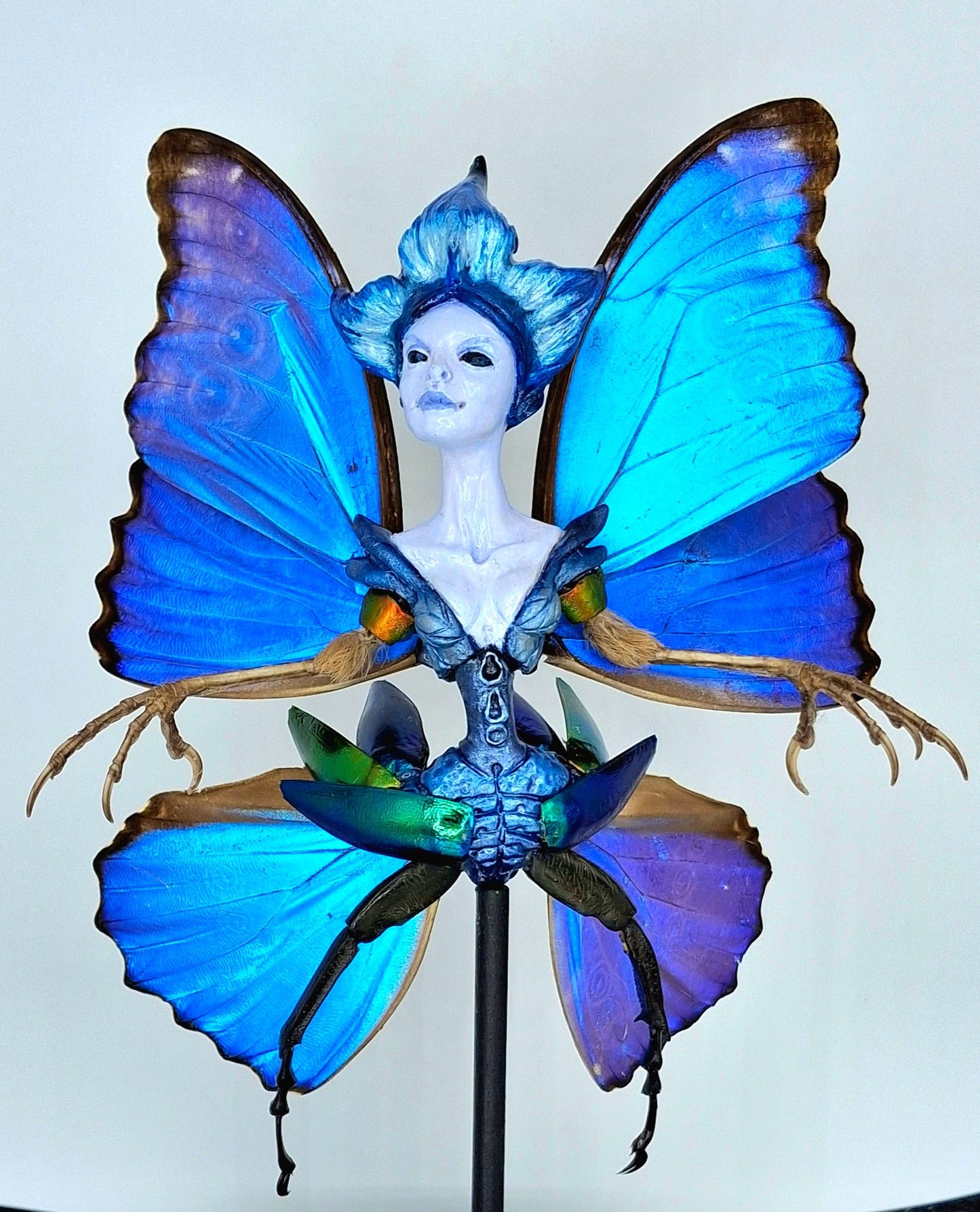Mythix Royal Fairy - Specimen #08