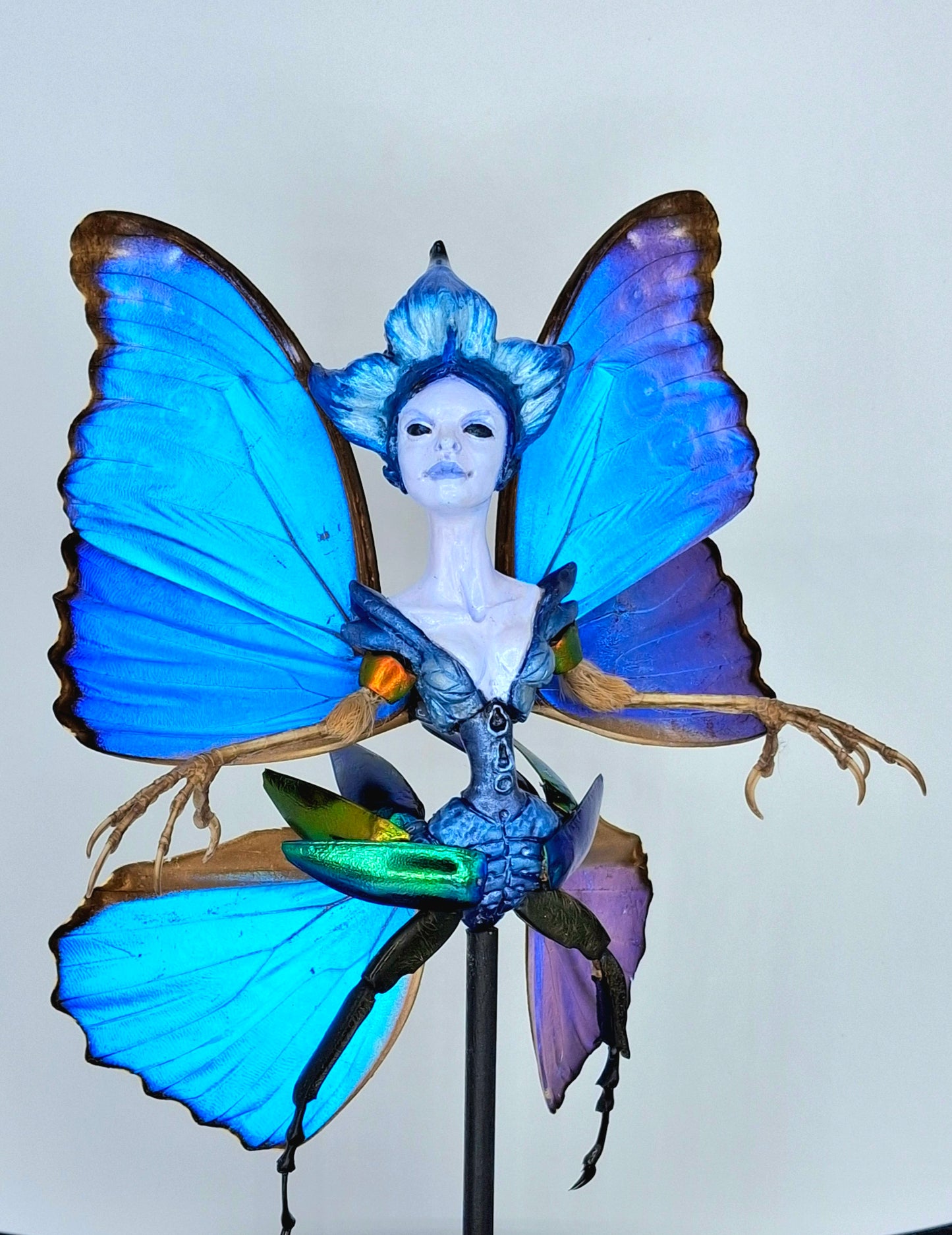 Mythix Royal Fairy - Specimen #08