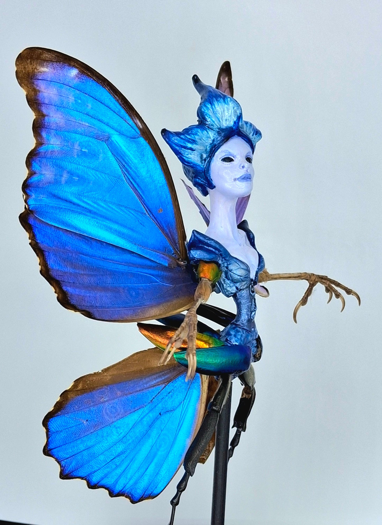 Mythix Royal Fairy - Specimen #08