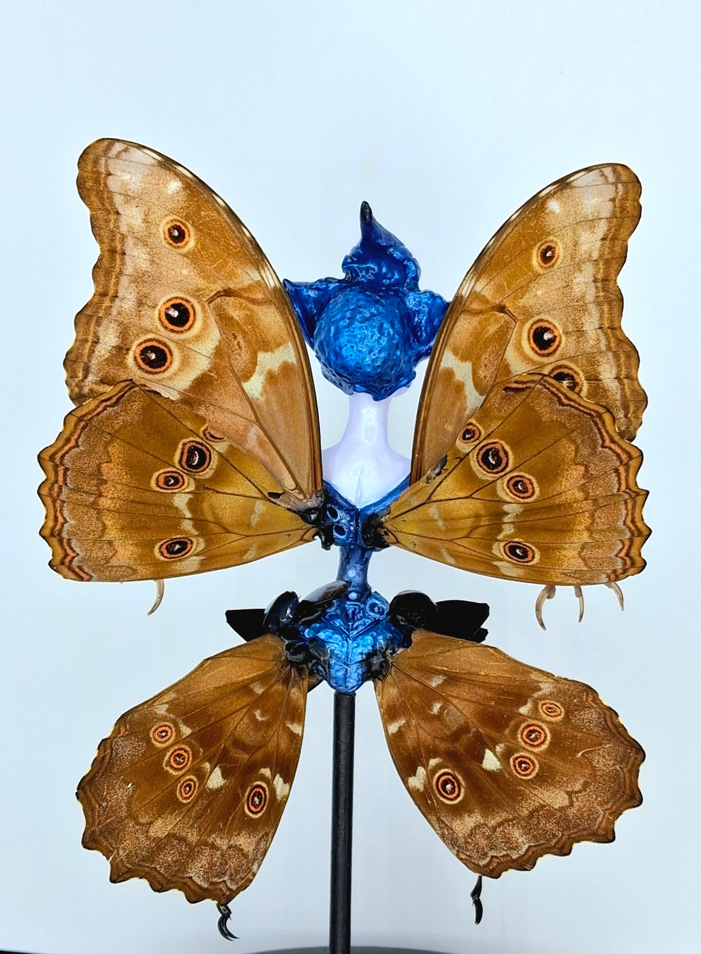 Mythix Royal Fairy - Specimen #08