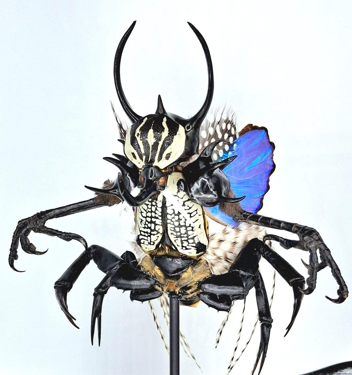 Mythix Darkling Sprite Soldier - Specimen #114