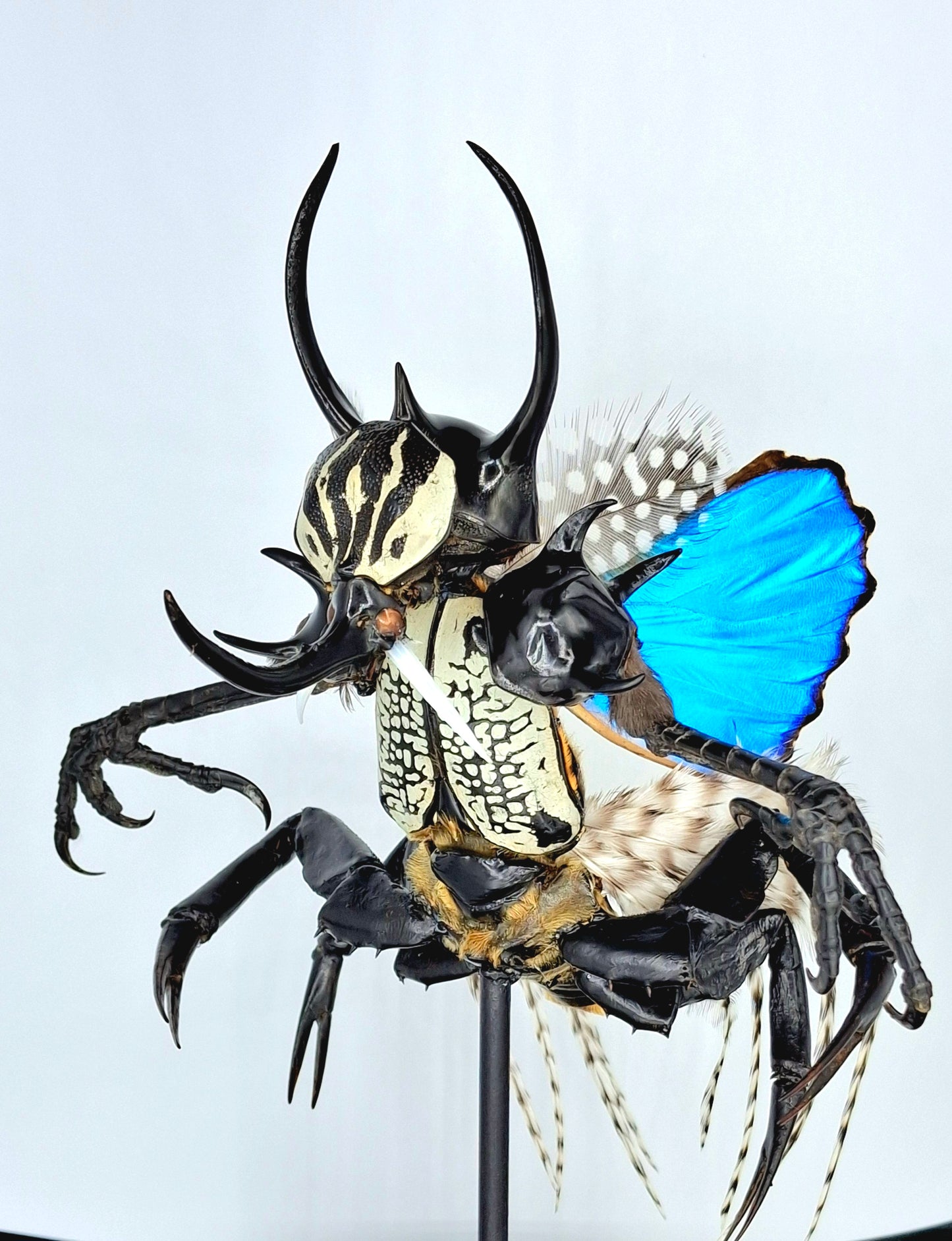 Mythix Darkling Sprite Soldier - Specimen #114