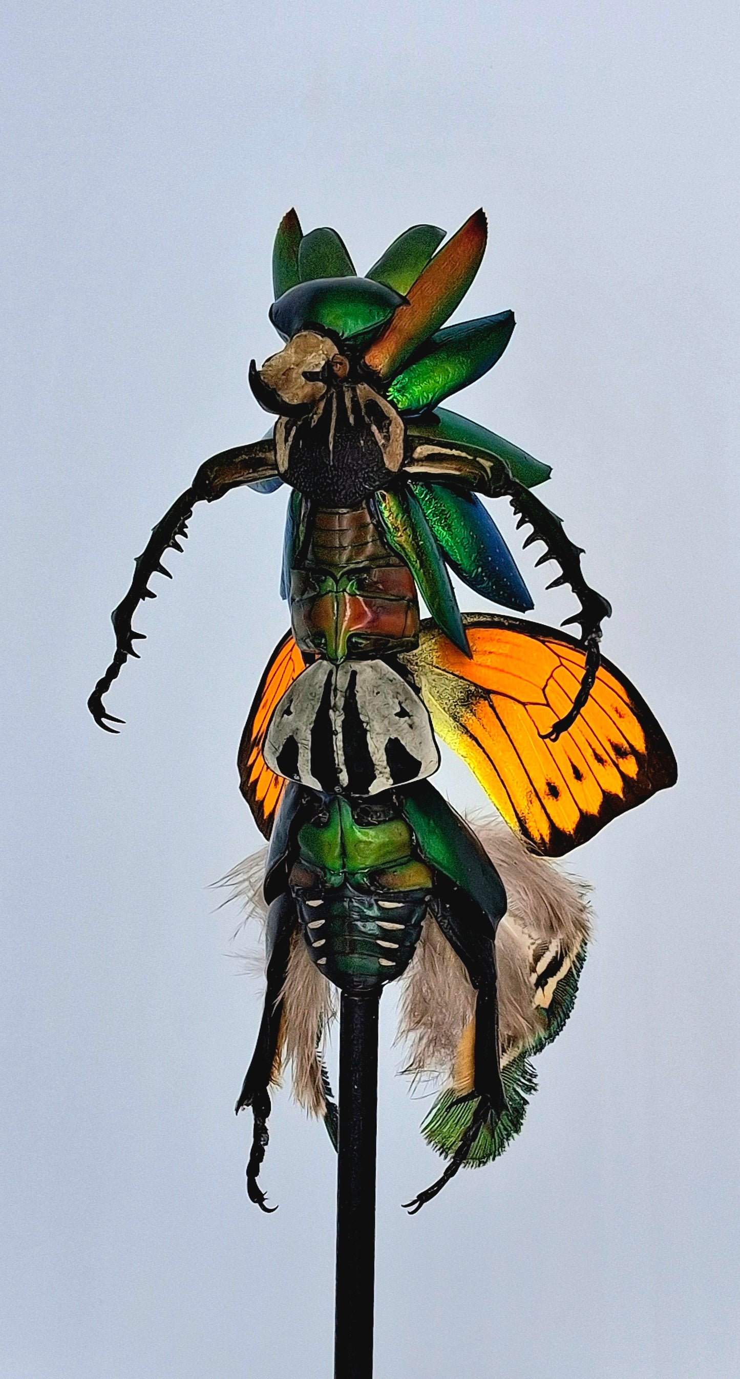 Mythix Fairy Scout - Specimen # 109