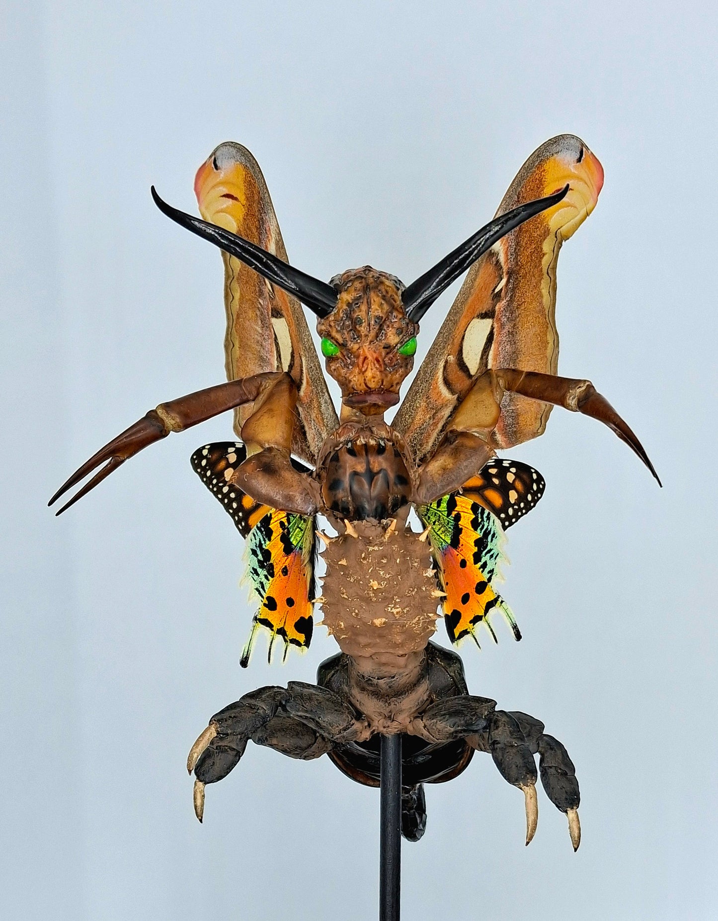 Mythix Royal Darkling Sprite - Specimen #113