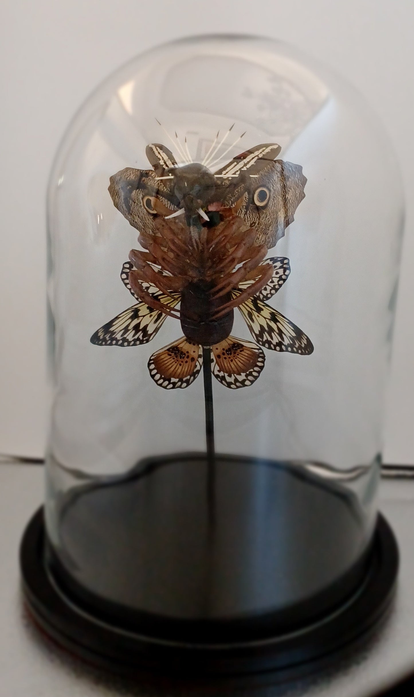 Mythix Darkling Sprite Soldier - Specimen #033