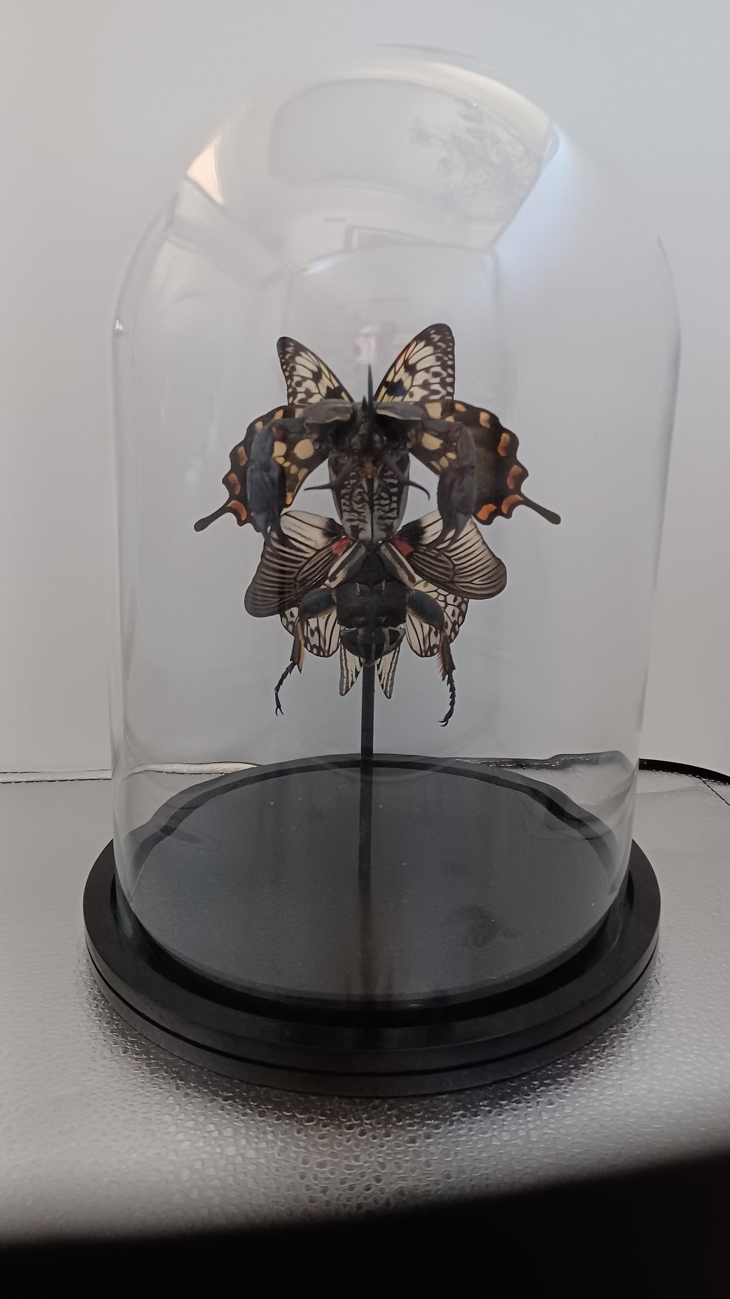 Mythix Darkling Sprite Soldier - Specimen #022