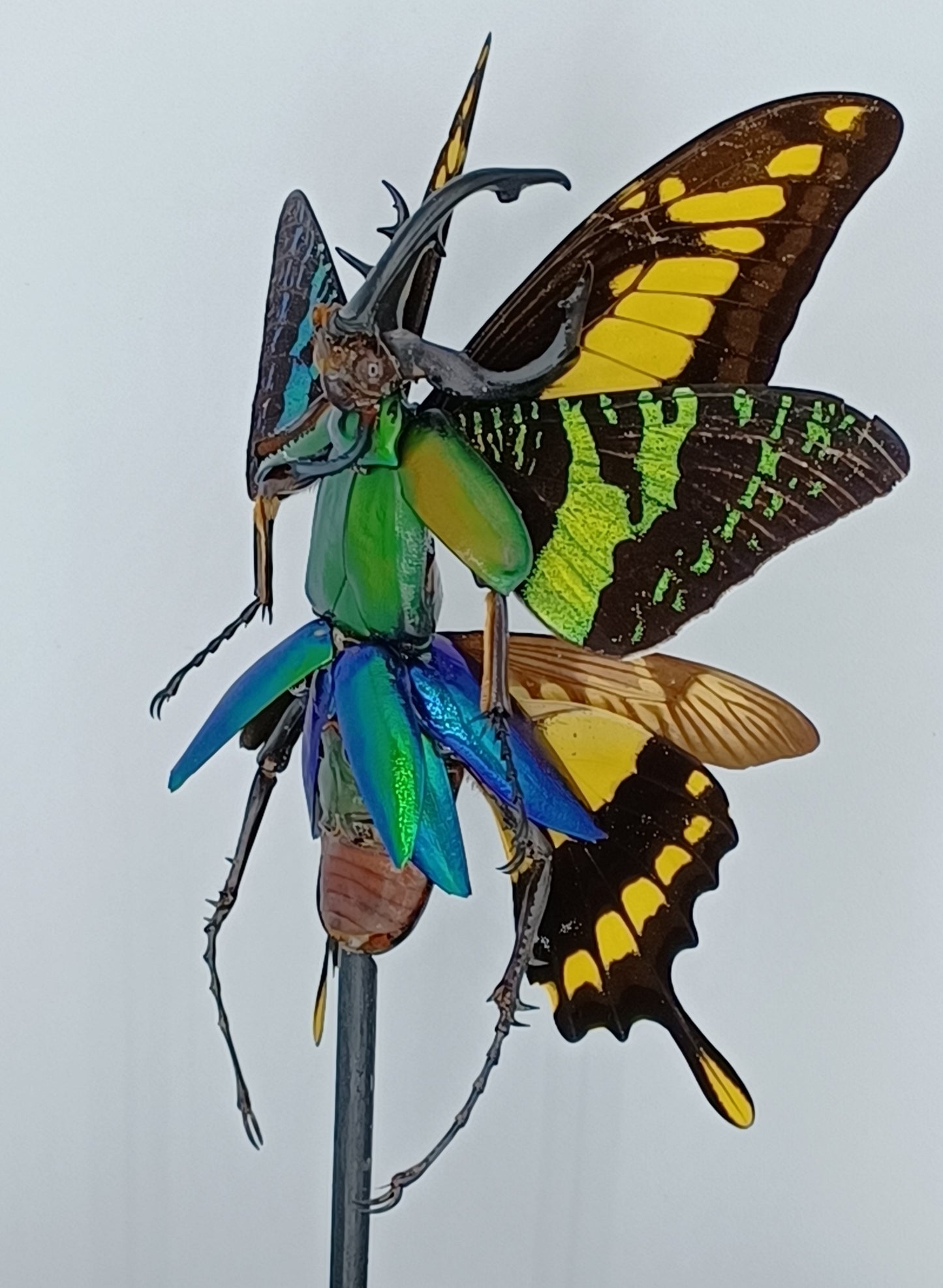 Mythix Fairy Scout - Specimen #021