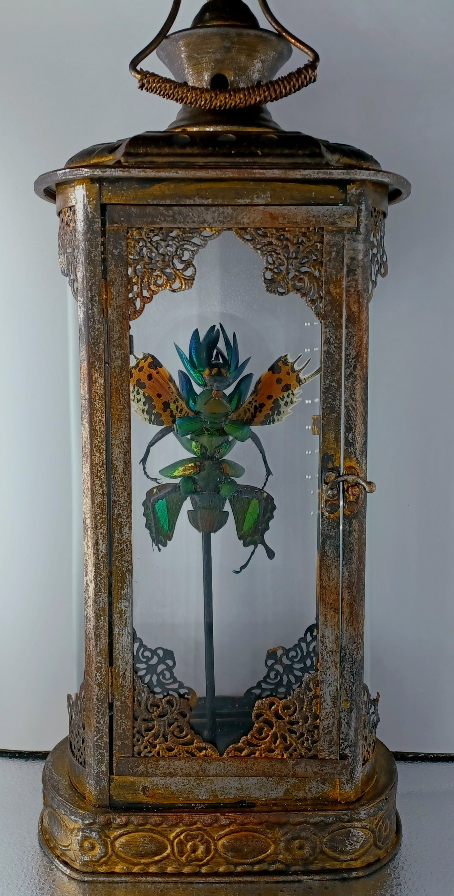 Mythix Fairy Scout - Specimen #011