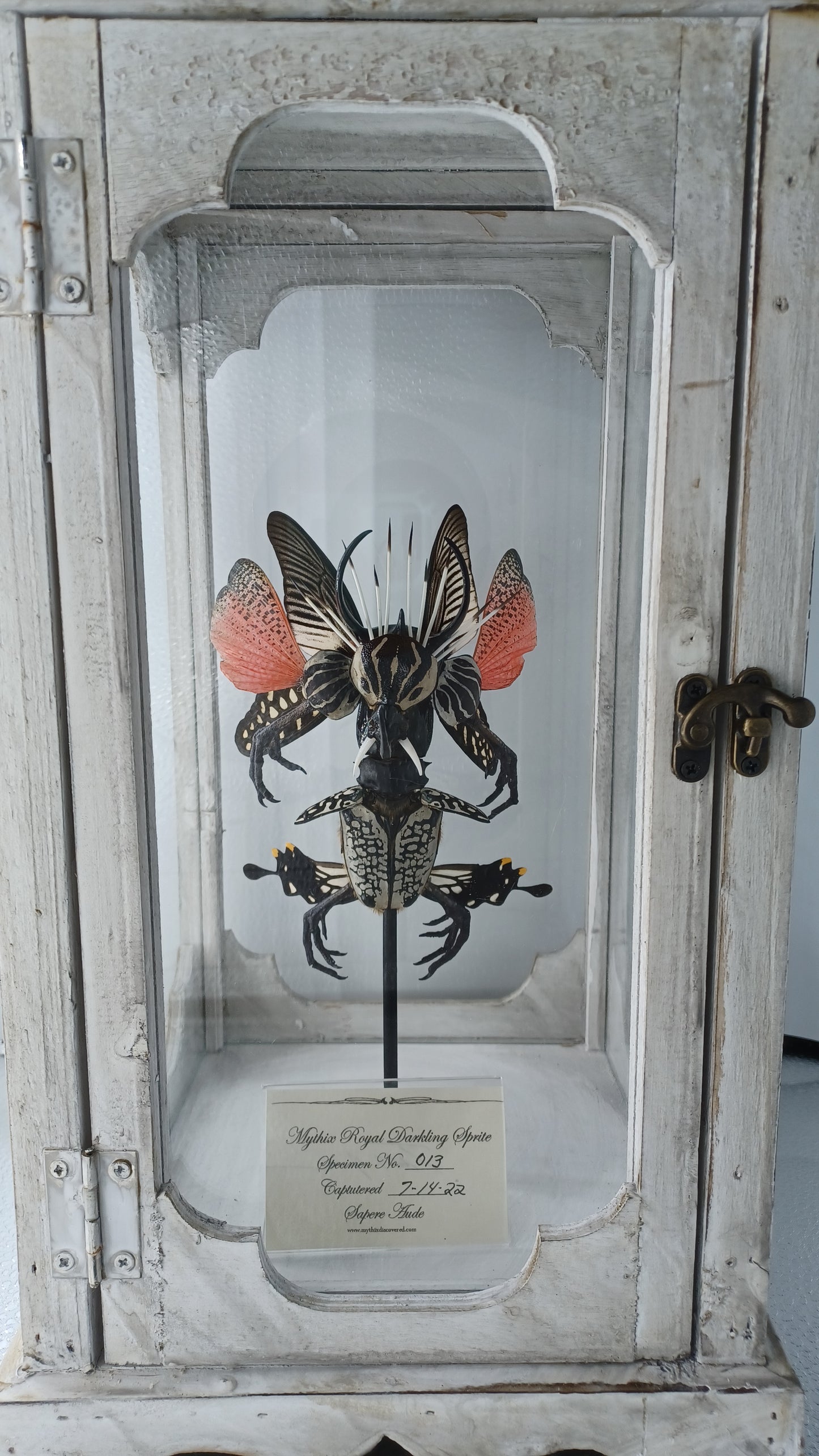 Mythix Darkling Sprite Soldier - Specimen #017