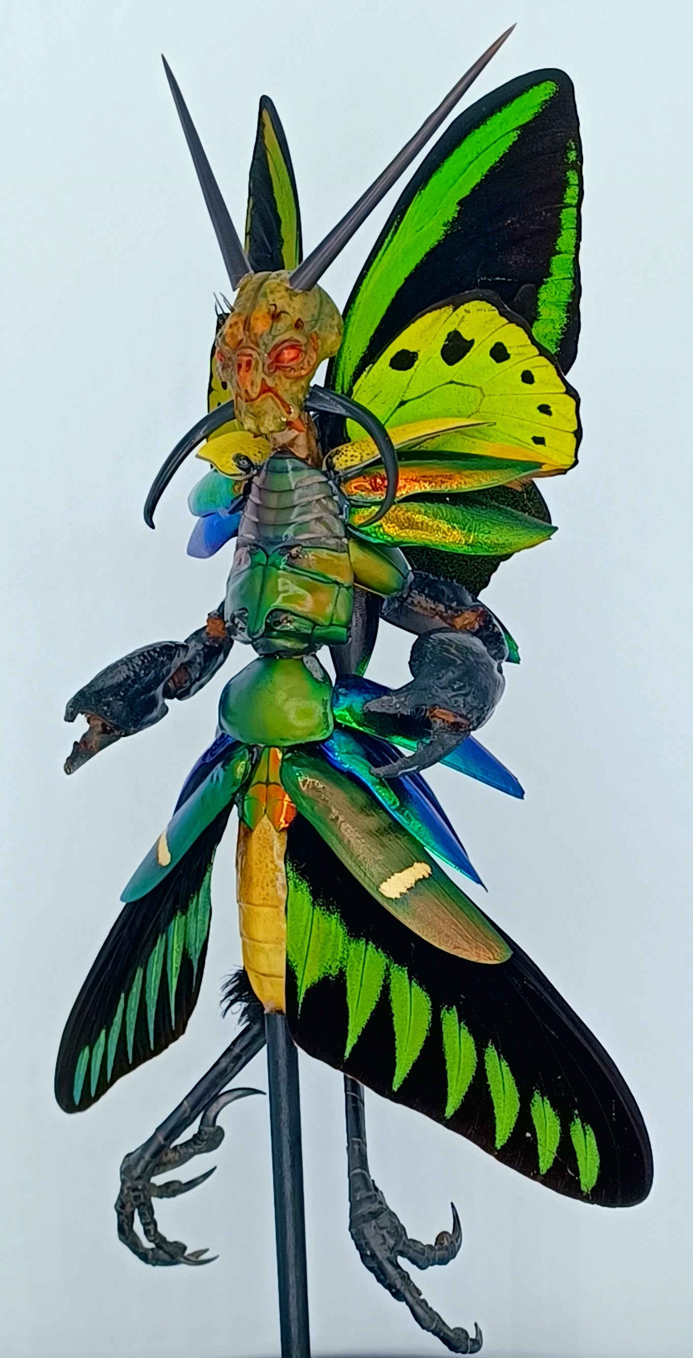 Mythix Royal Darkling Sprite - Specimen #012