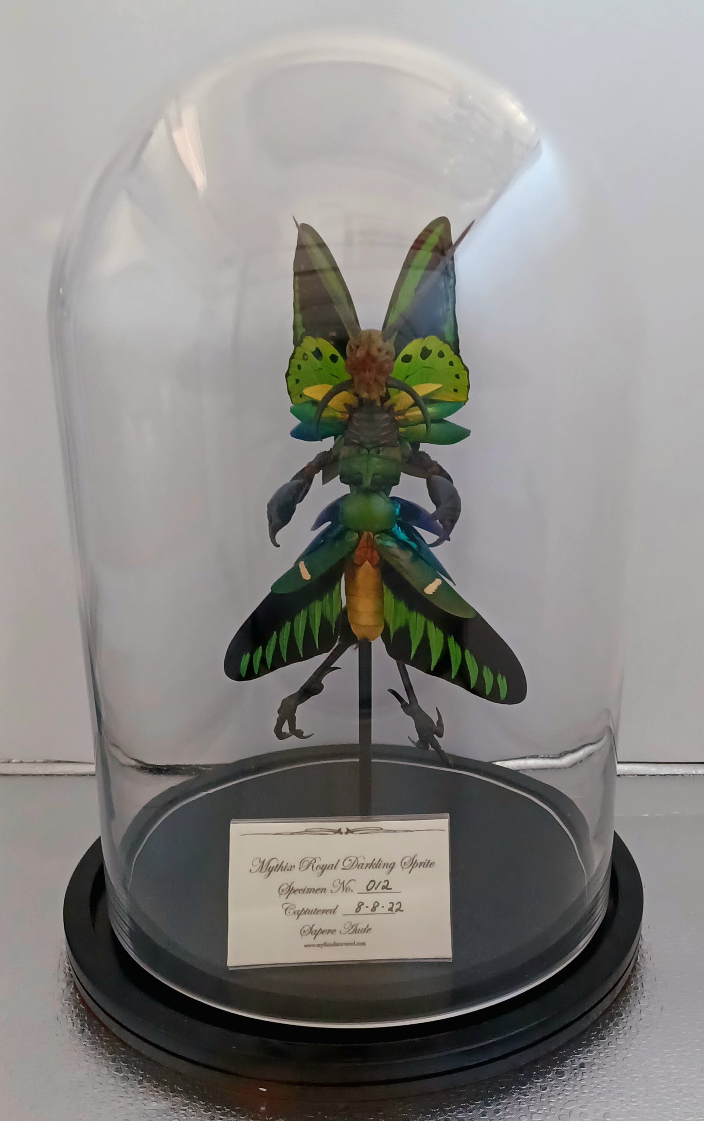 Mythix Royal Darkling Sprite - Specimen #012