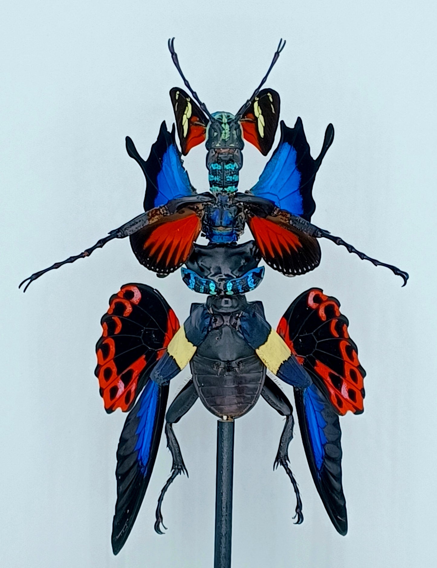 Mythix Fairy - Specimen #028